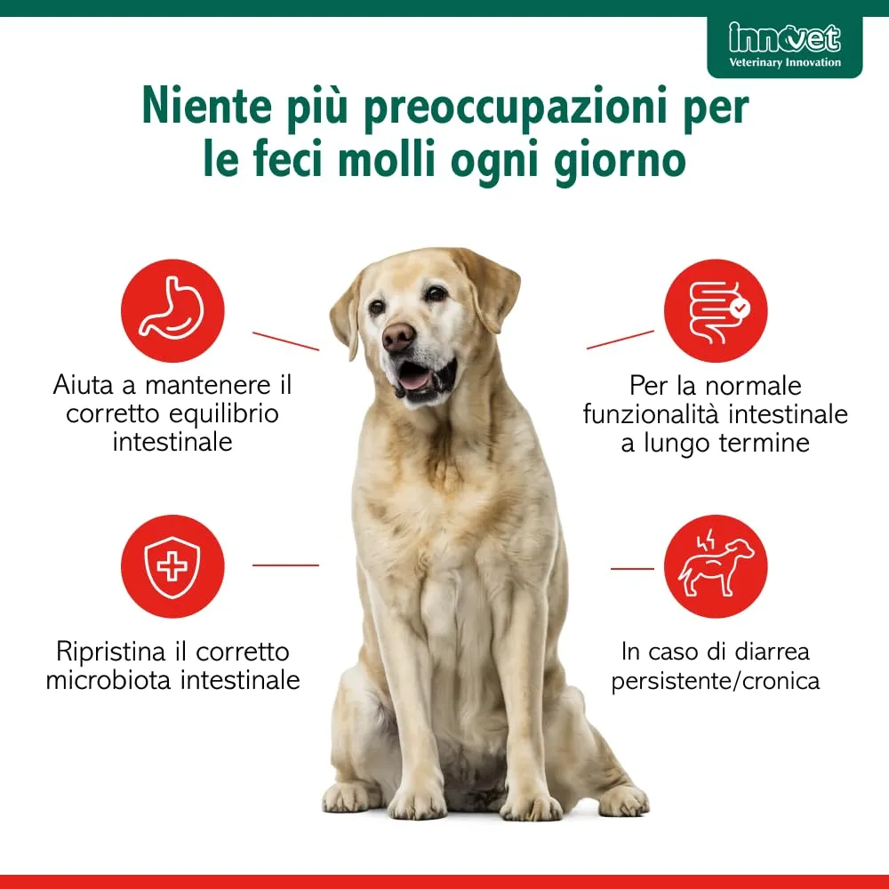 Innovet Normalia Extra per Cani, Supporto Intestinale con Probiotici, Colostro Bovino e PEA-um, 30 cpr - immagine 2