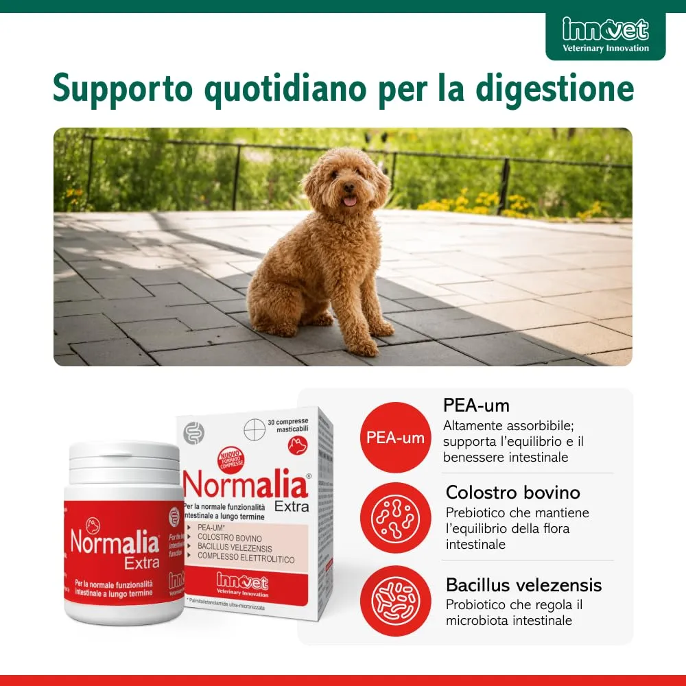 Innovet Normalia Extra per Cani, Supporto Intestinale con Probiotici, Colostro Bovino e PEA-um, 30 cpr - immagine 6