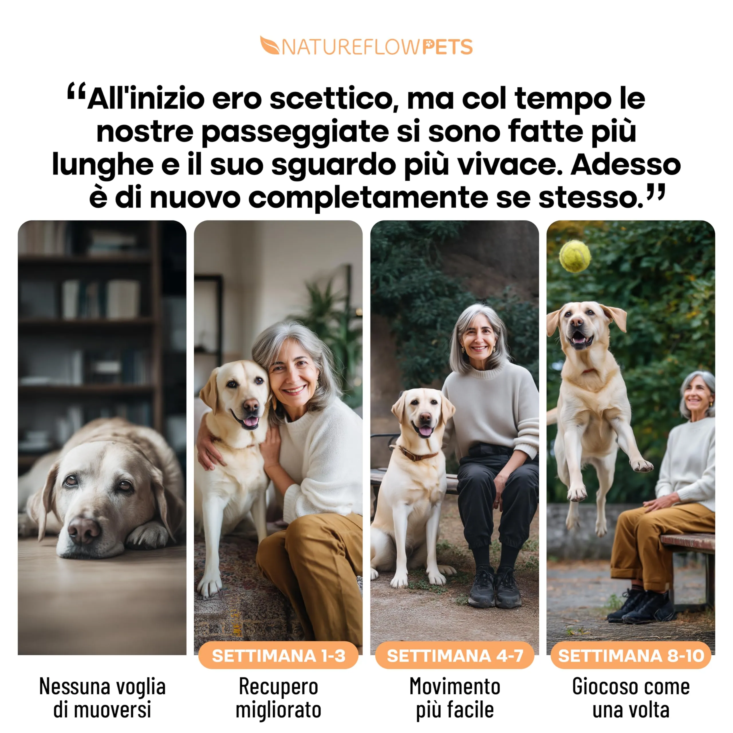 Natureflow Integratore Articolazioni Cane con Cozza Verde, Glucosamina, Condroitina, MSM, Artiglio del Diavolo e Zenzero, 100 Compresse - immagine 5
