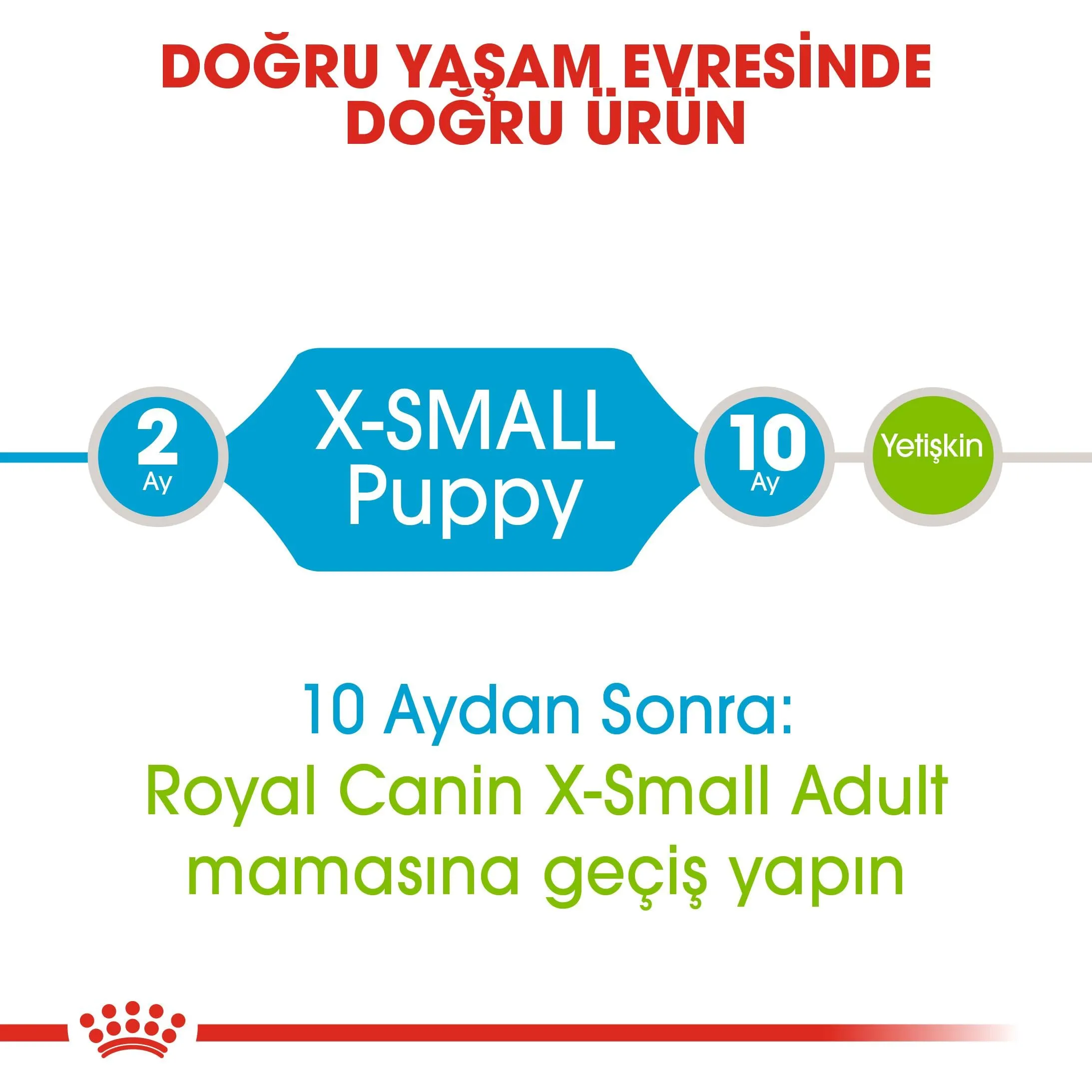 Royal Canin X-Small Junior, 1.5 kg - immagine 3