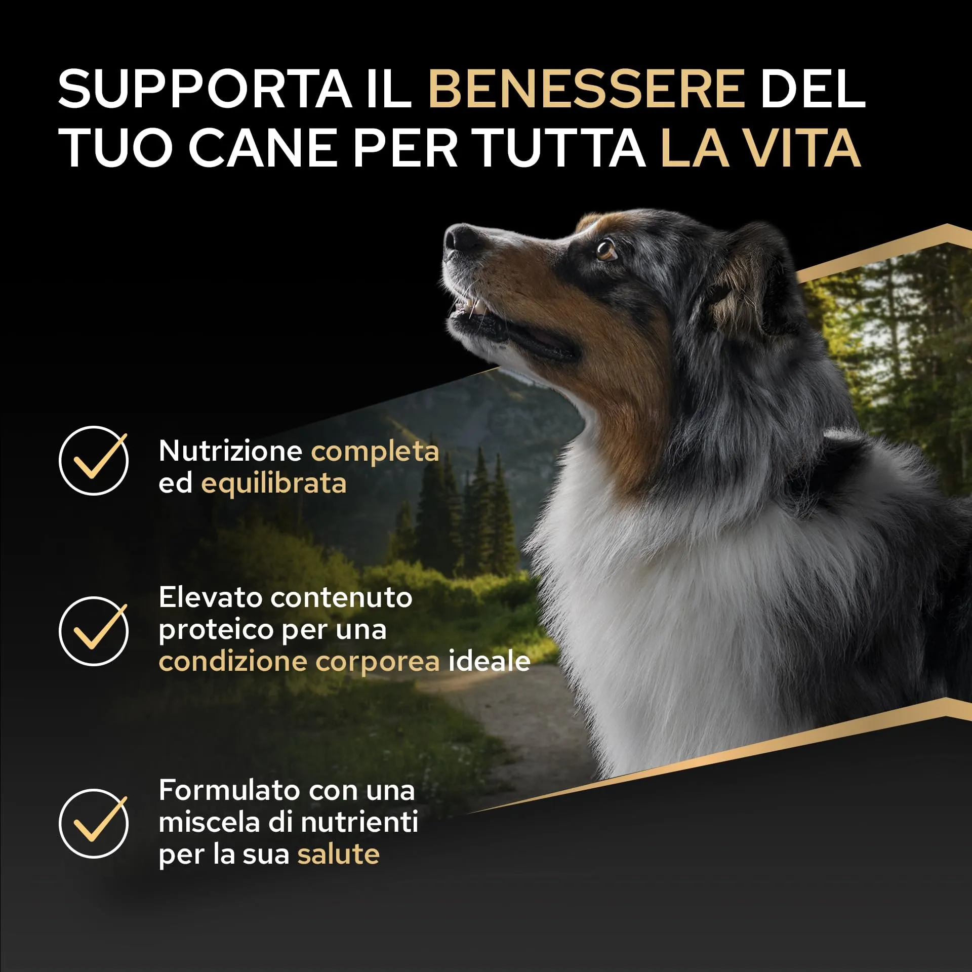 Purina Pro Plan Everyday Nutrition Crocchette per Cani Adulti Taglia Media al Pollo, 14 kg - immagine 2
