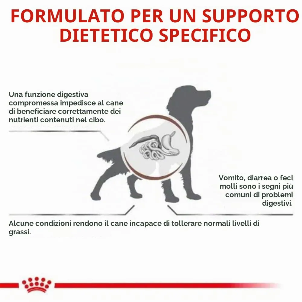 Royal Canin Veterinary Diet Gastrointestinal Low Fat Dog Food, 6 kg - immagine 3