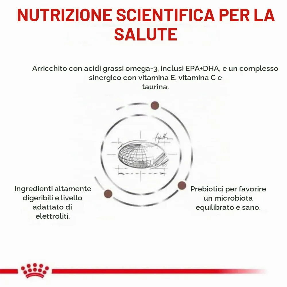 Royal Canin Veterinary Diet Gastrointestinal Low Fat Dog Food, 6 kg - immagine 5