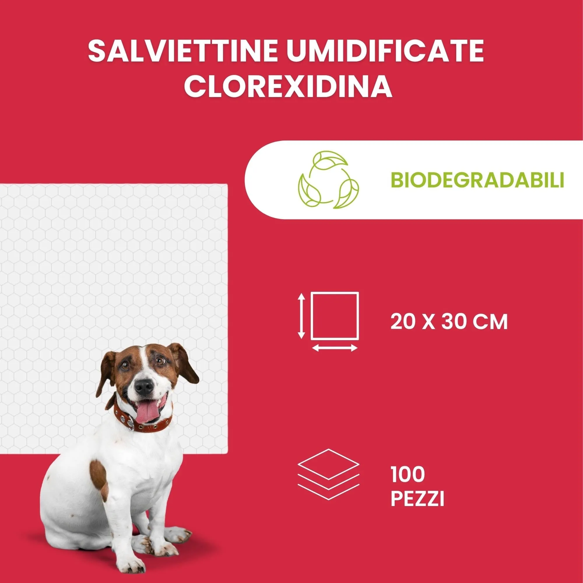 Italian Pet Salviette Biodegradabili Clorexidina, Salviettine Disinfettanti per Cani e Gatti, 100 Pezzi, 20x30 cm - immagine 4