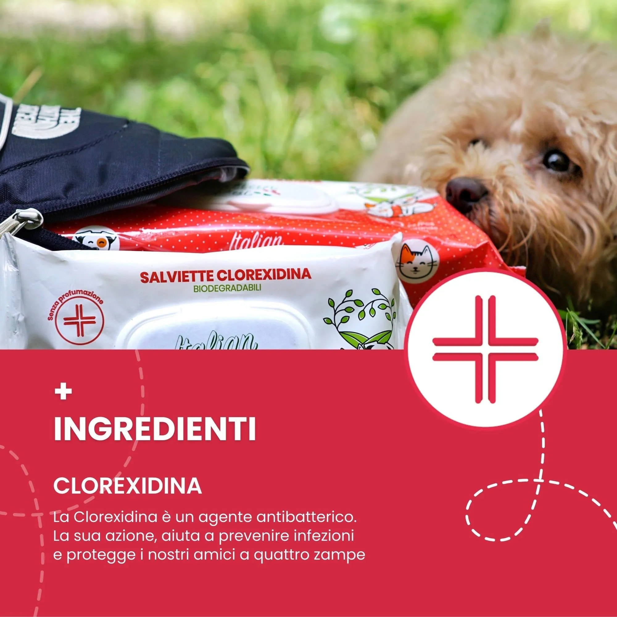 Italian Pet Salviette Biodegradabili Clorexidina, Salviettine Disinfettanti per Cani e Gatti, 100 Pezzi, 20x30 cm - immagine 5