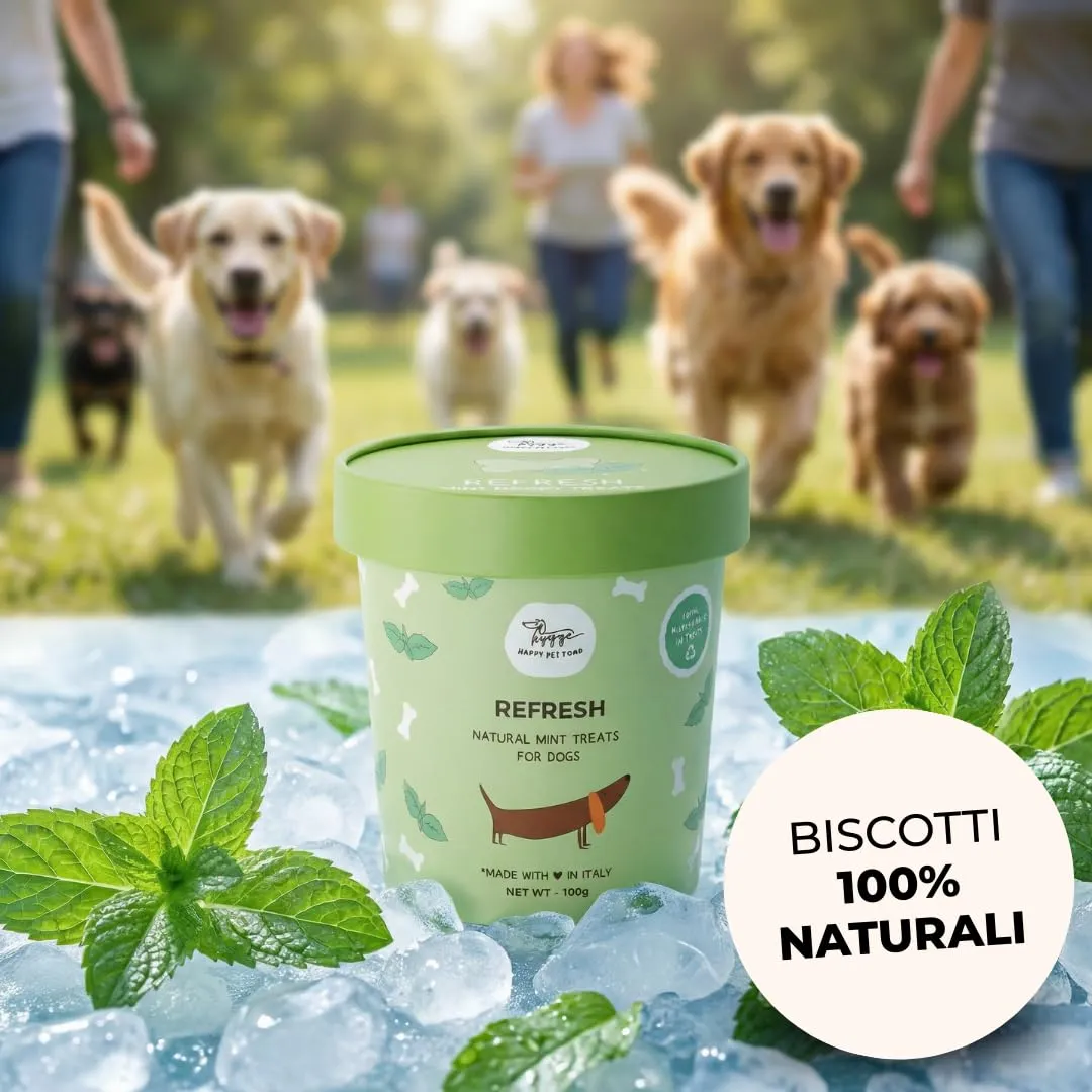 Hygge Dog Biscotti Refresh per Cani alla Menta, 600 g - immagine 2