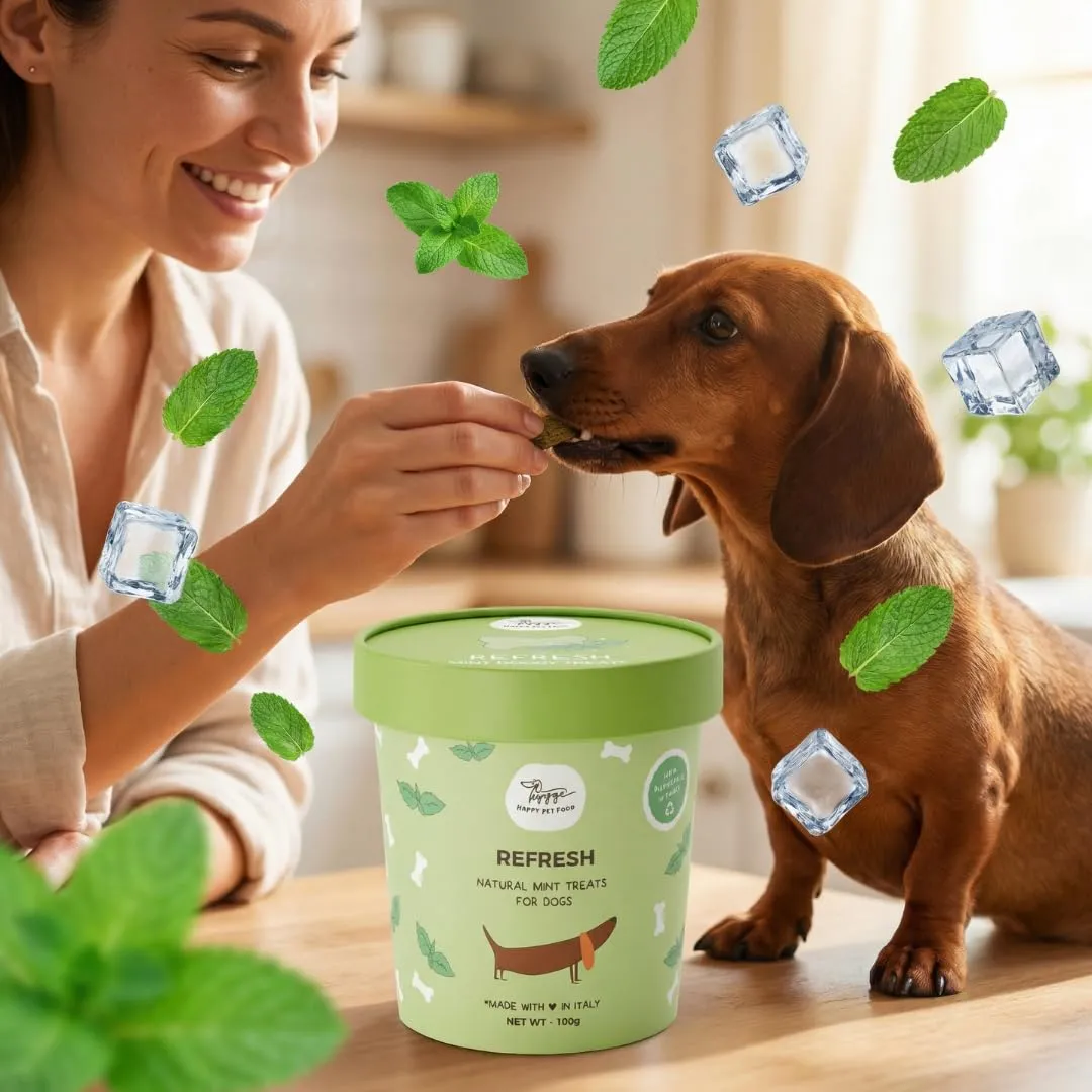 Hygge Dog Biscotti Refresh per Cani alla Menta, 600 g - immagine 4