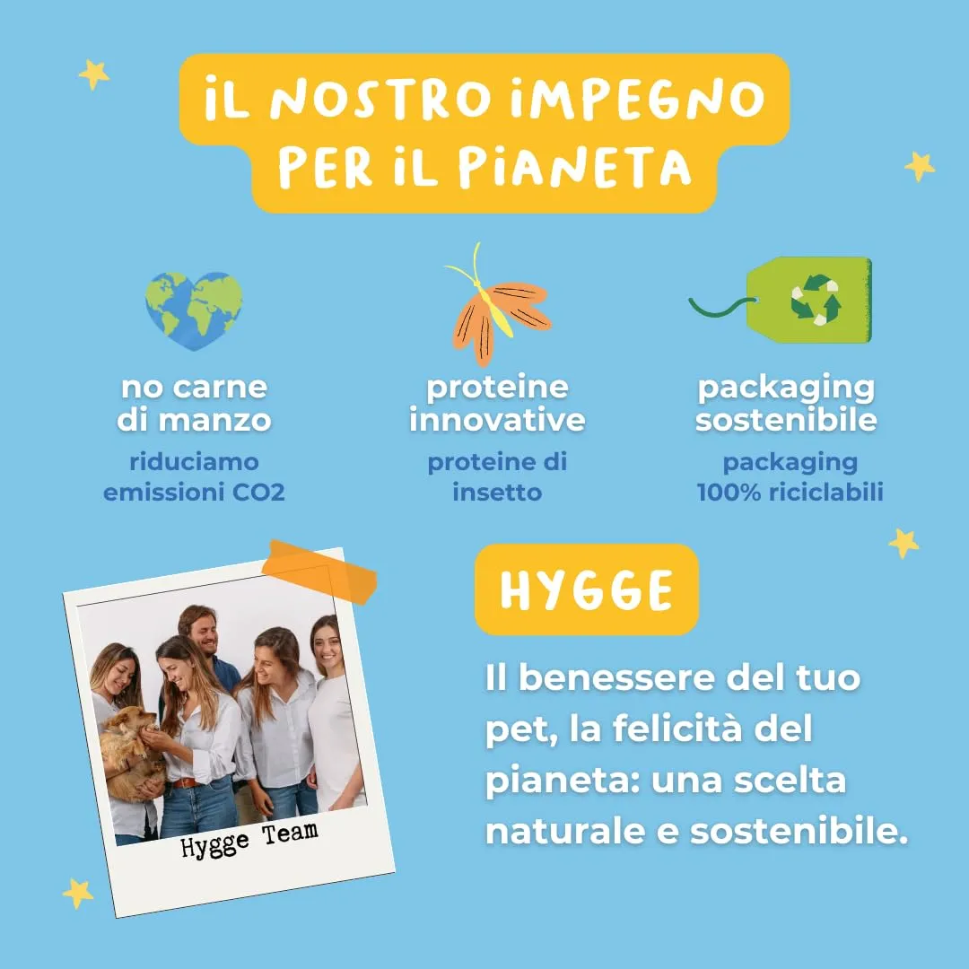 Hygge Dog Biscotti Refresh per Cani alla Menta, 600 g - immagine 6