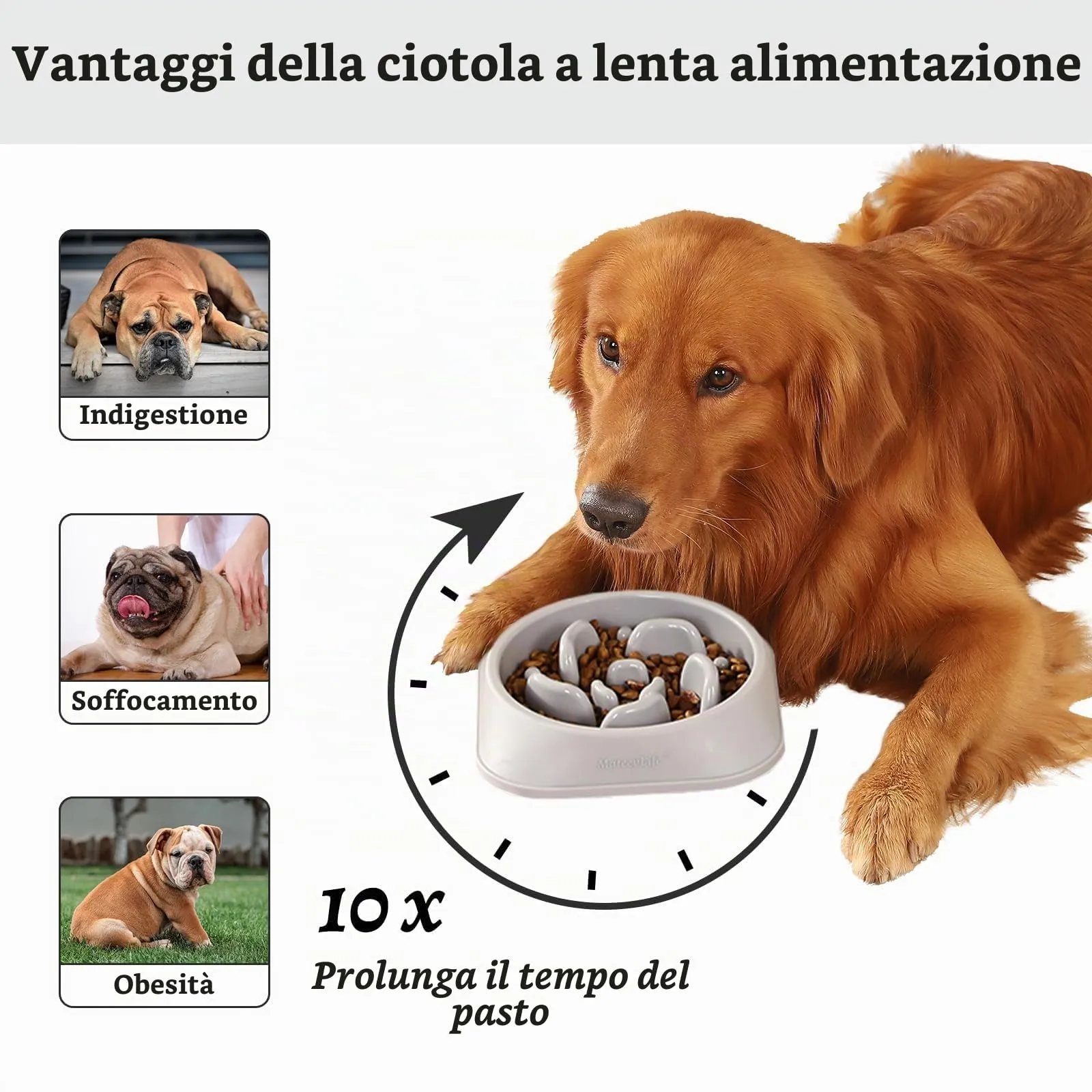 MateeyLife Ciotola per cani con alimentazione lenta Bloat Stop Labirinto, antiscivolo, taglia medio - immagine 2