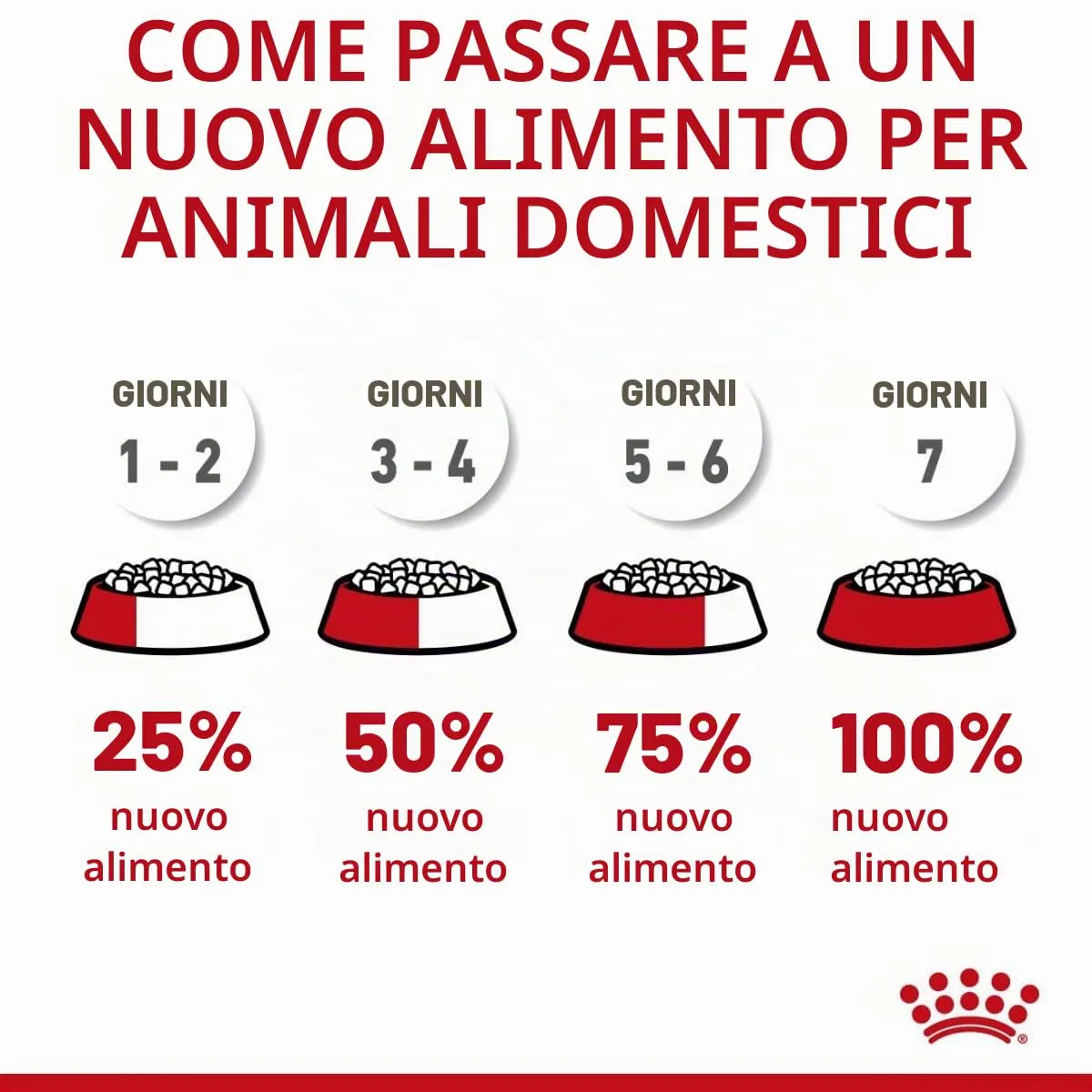 Royal Canin X-Small Junior 3kg - immagine 4