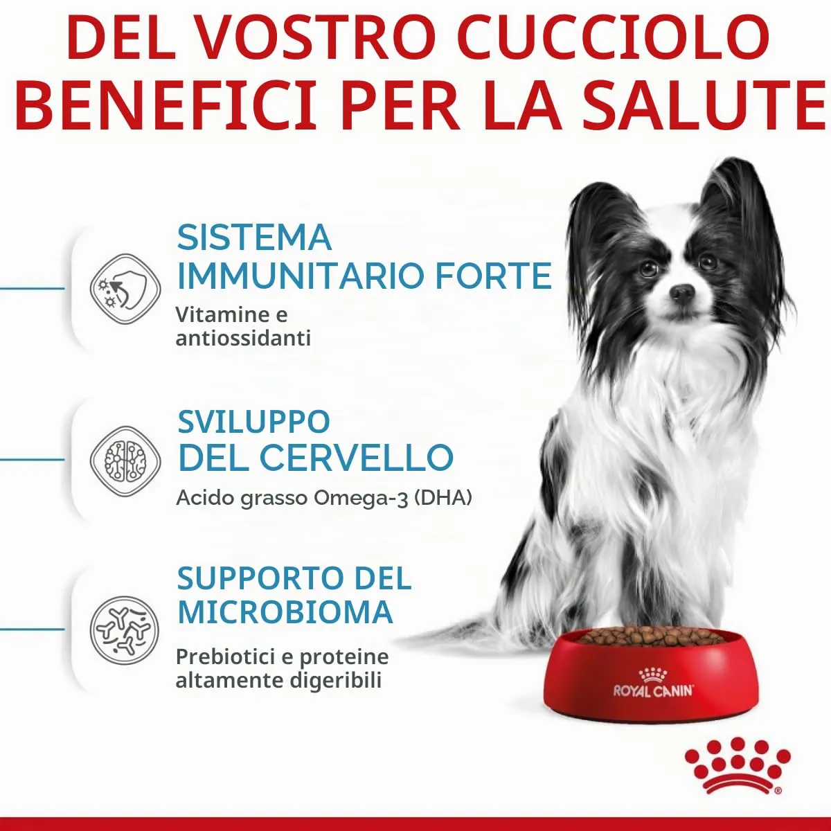 Royal Canin X-Small Junior 3kg - immagine 5
