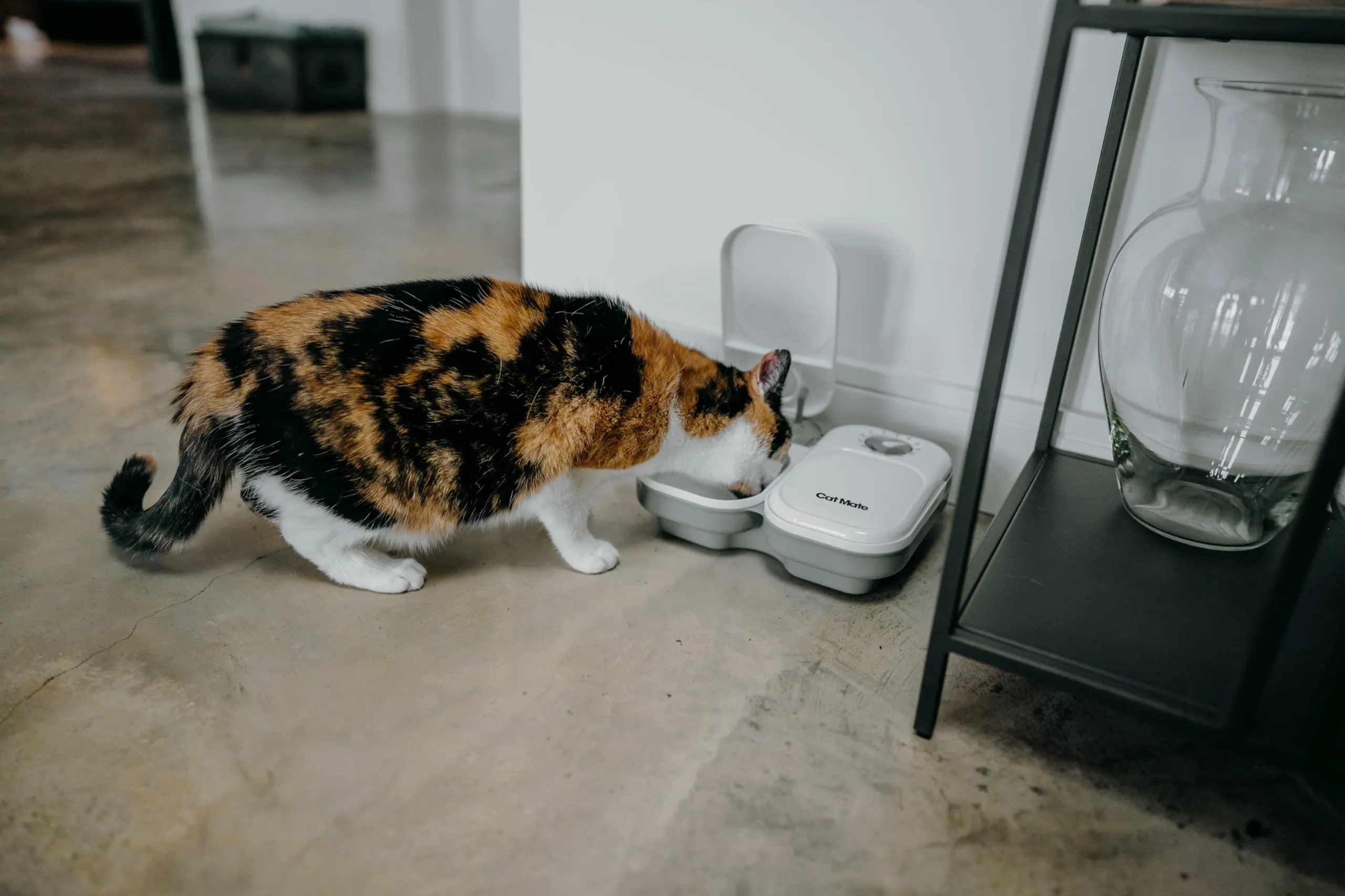 Cat Mate C200 Distributore Automatico di Cibo per 2 pasti, Bianco - immagine 4