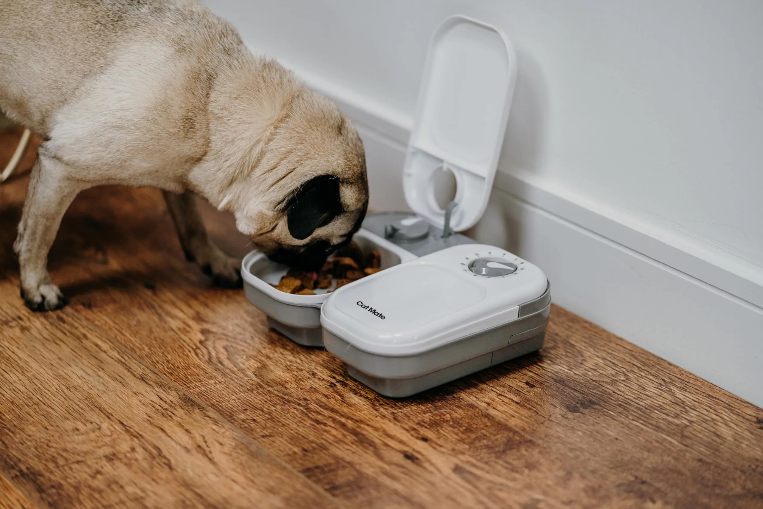 Cat Mate C200 Distributore Automatico di Cibo per 2 pasti, Bianco - immagine 7