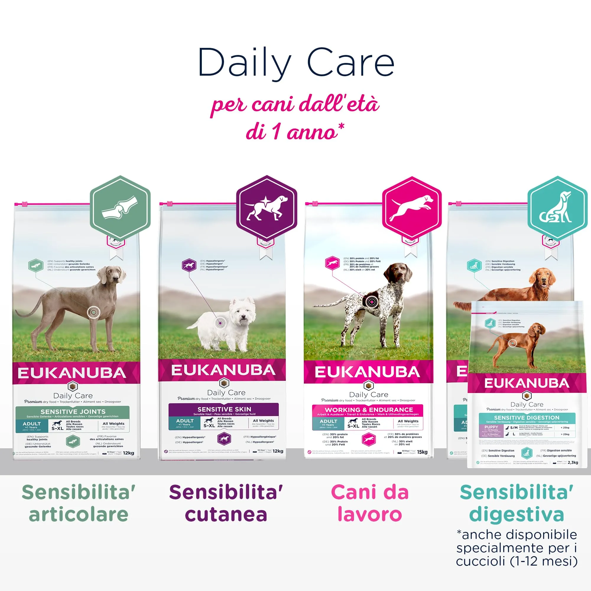 Eukanuba Daily Care Alimento Secco per Cani Adulti con Difficoltà Digestive, 2,3 kg - immagine 5