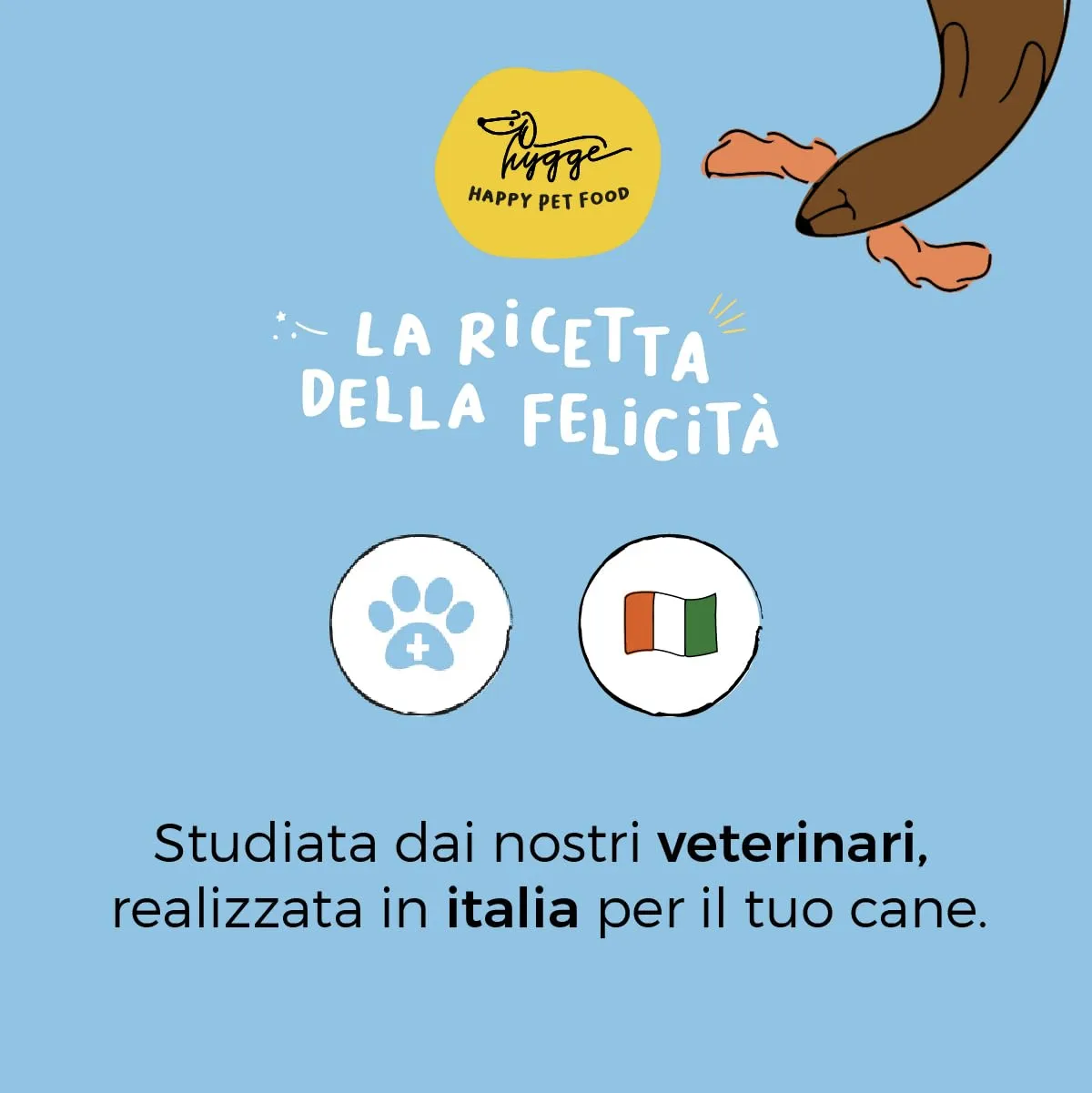 Hygge Dog Biscotti Cane Crick Crok Proteina d'Insetto, Mela, Frutta e Verdura, Senza Cereali e Glutine, Set x3 (300g) - immagine 5