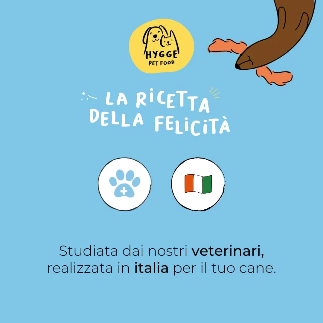 Hygge Dog Biscotti per Cani Naturali gusto Zucca, Pack da 6, 900g - immagine 7