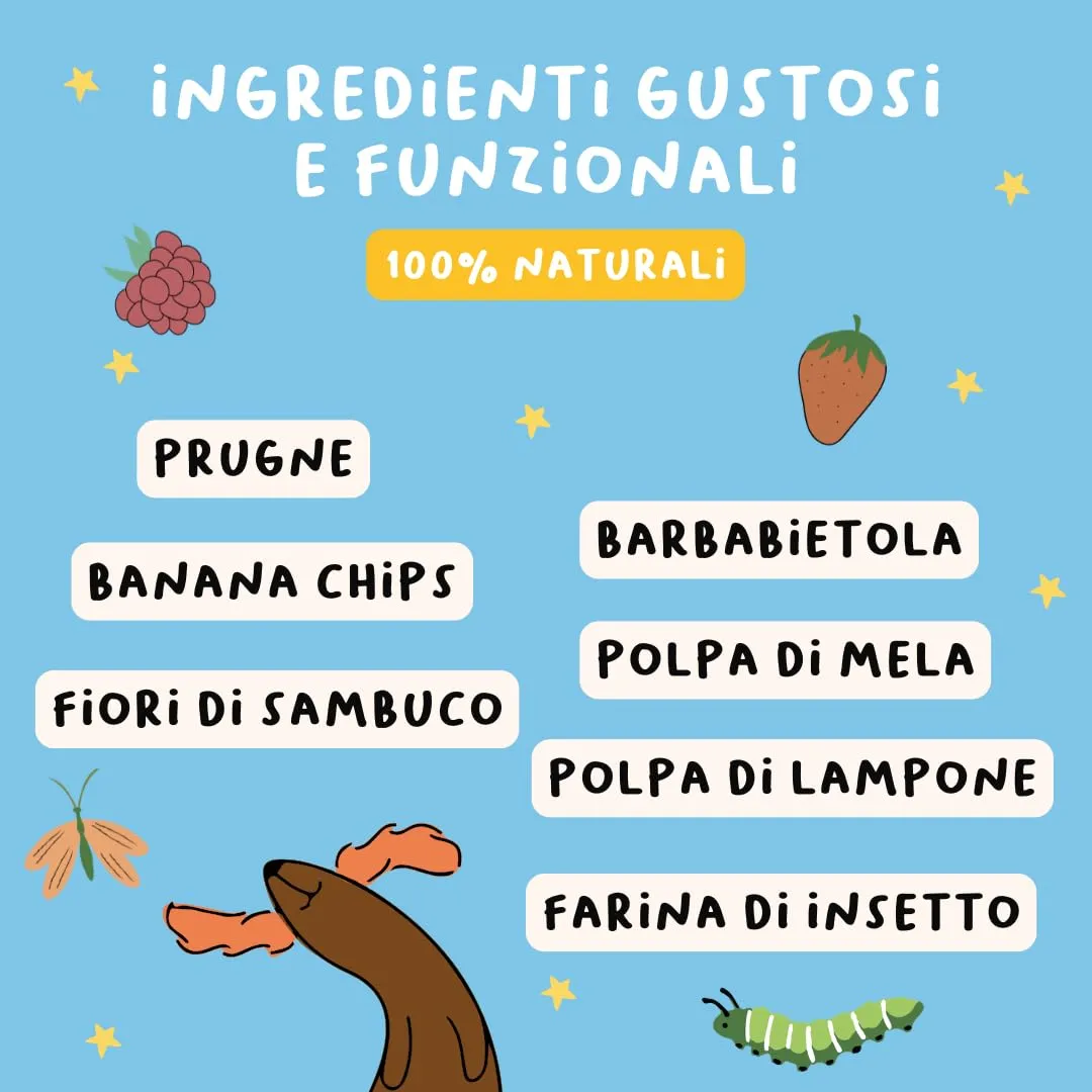 Hygge Dog Crick Crok Biscotti Ipoallergenici per Cani a base di Proteina di Insetto, Senza Cereali, 600g - immagine 3