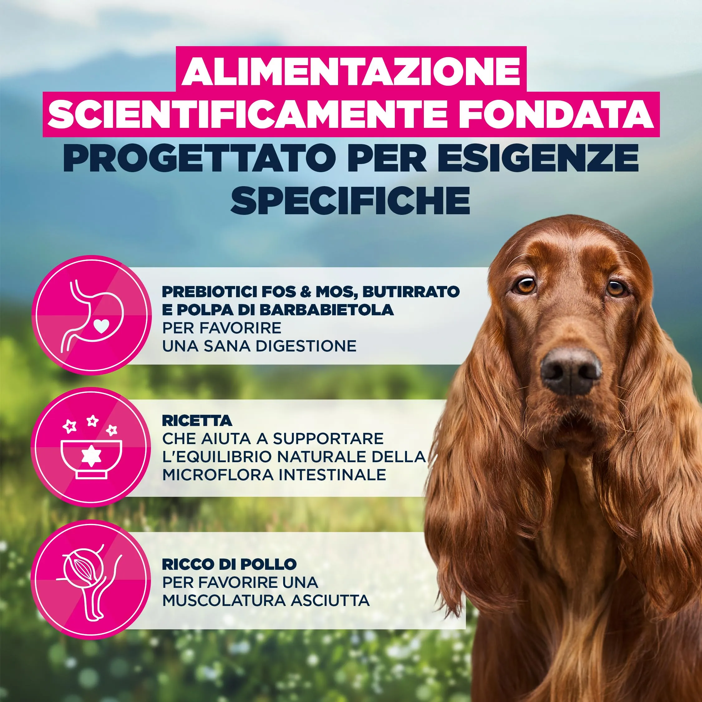 Eukanuba Sensitive Digestion Crocchette per cani con pollo e riso, 2,3 kg - immagine 5