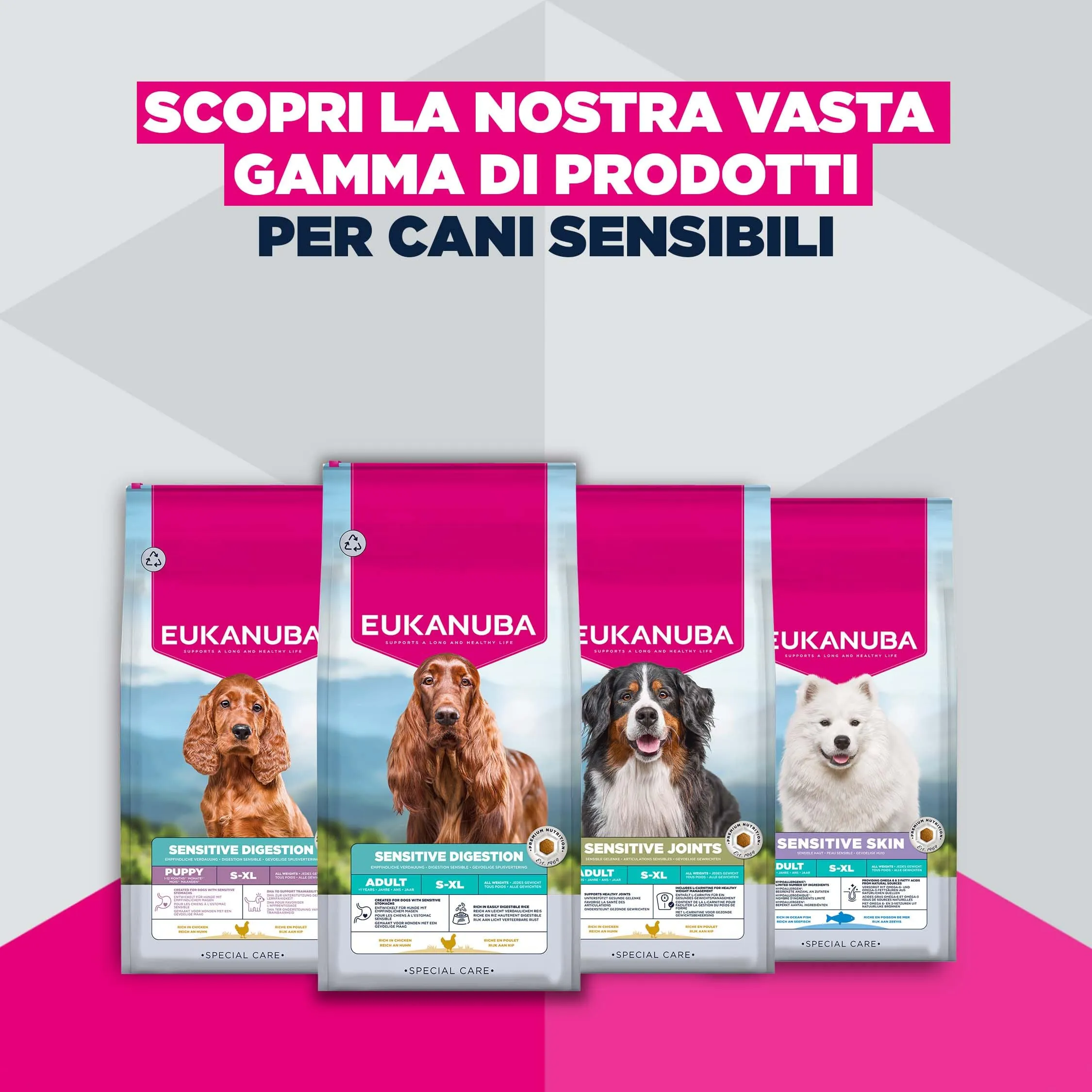 Eukanuba Sensitive Digestion Crocchette per cani con pollo e riso, 2,3 kg - immagine 9
