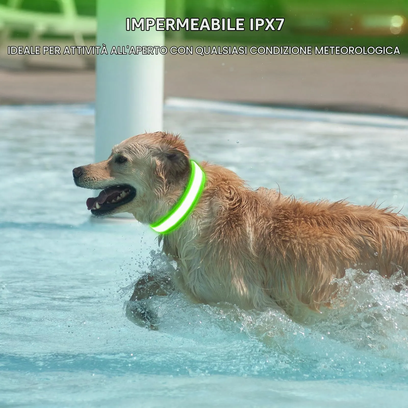 AUAUY Collare Luminoso per Cani, Ricaricabile USB, 3 Modalità, Verde, M - immagine 6