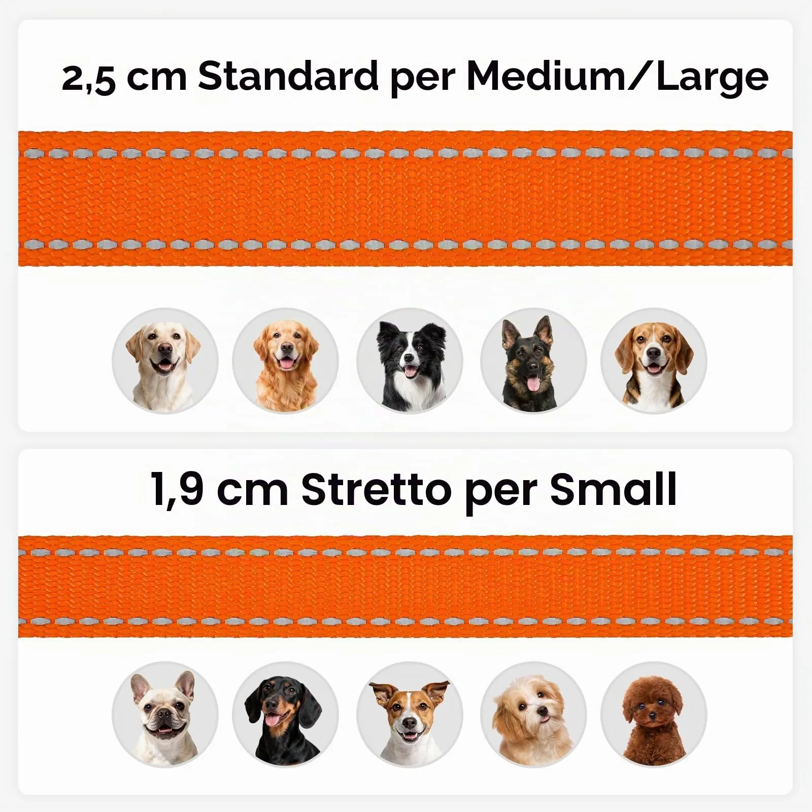 Joytale Guinzaglio per Cani Riflettente Imbottito, 1.8m x 2.5cm, Arancia - immagine 6
