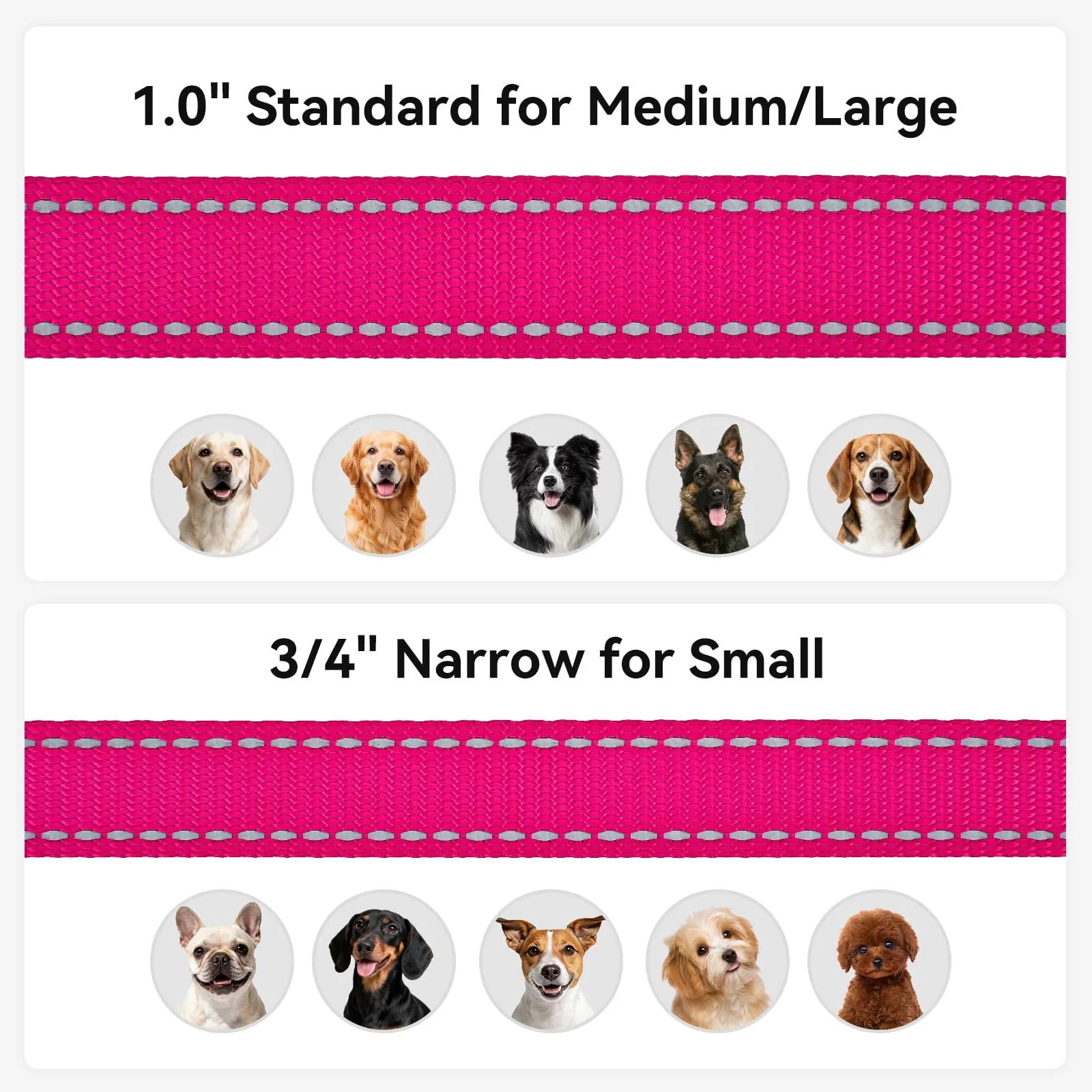Joytale Guinzaglio per Cani Riflettente Imbottito, 1.8m x 2cm, Rosa Caldo - immagine 6
