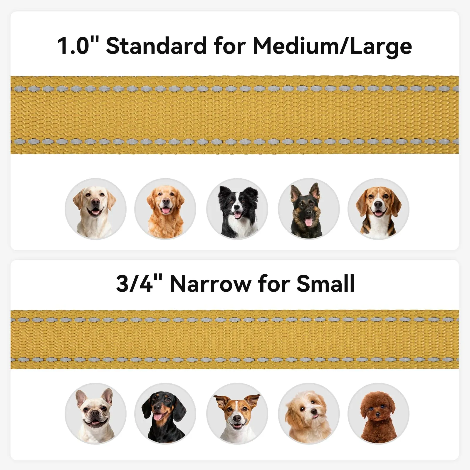 Joytale Guinzaglio per Cani Riflettente Imbottito, 1.8m x 2cm, Marrone - immagine 6