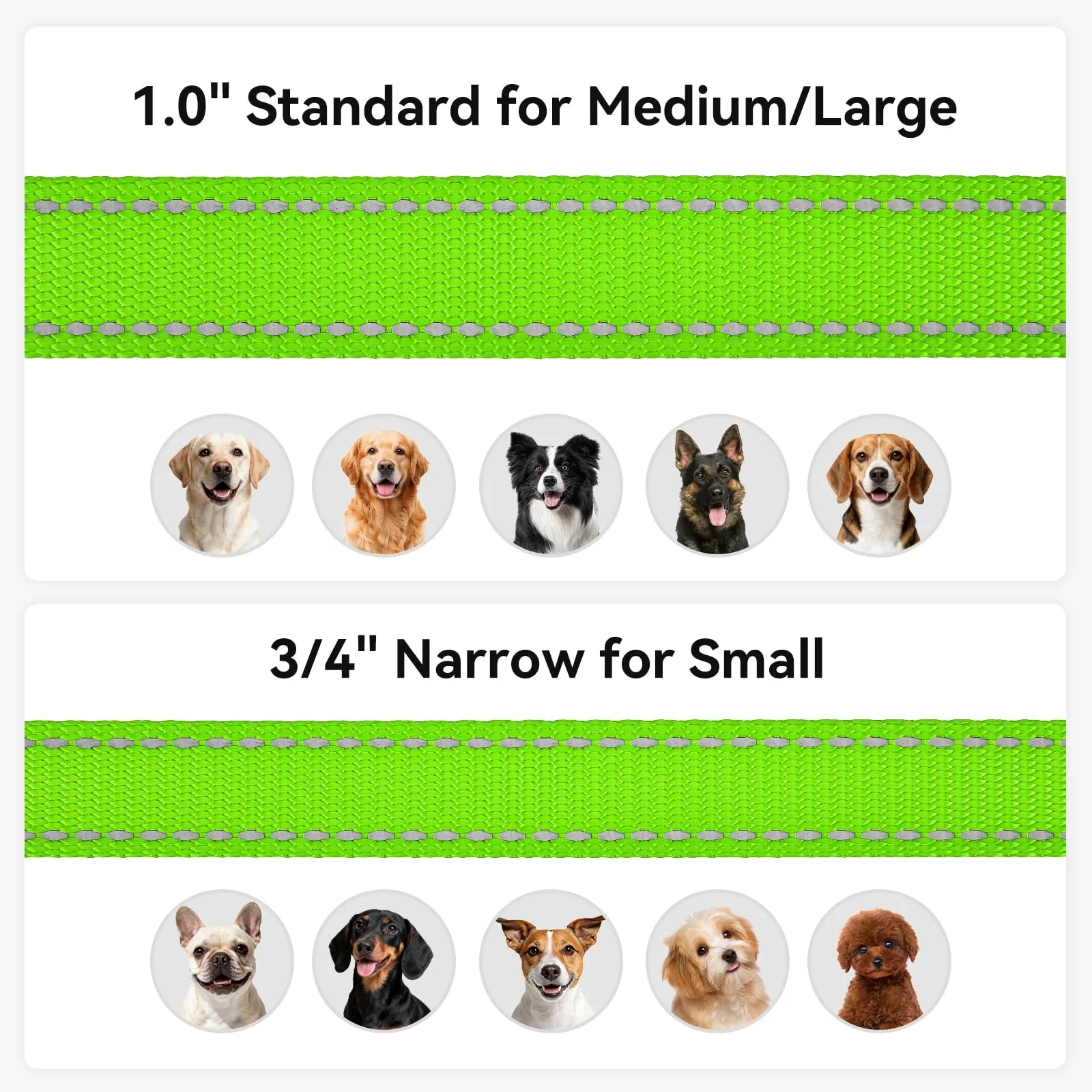 Joytale Guinzaglio per Cani Riflettente Imbottito, 1.8m x 2cm, Verde - immagine 6