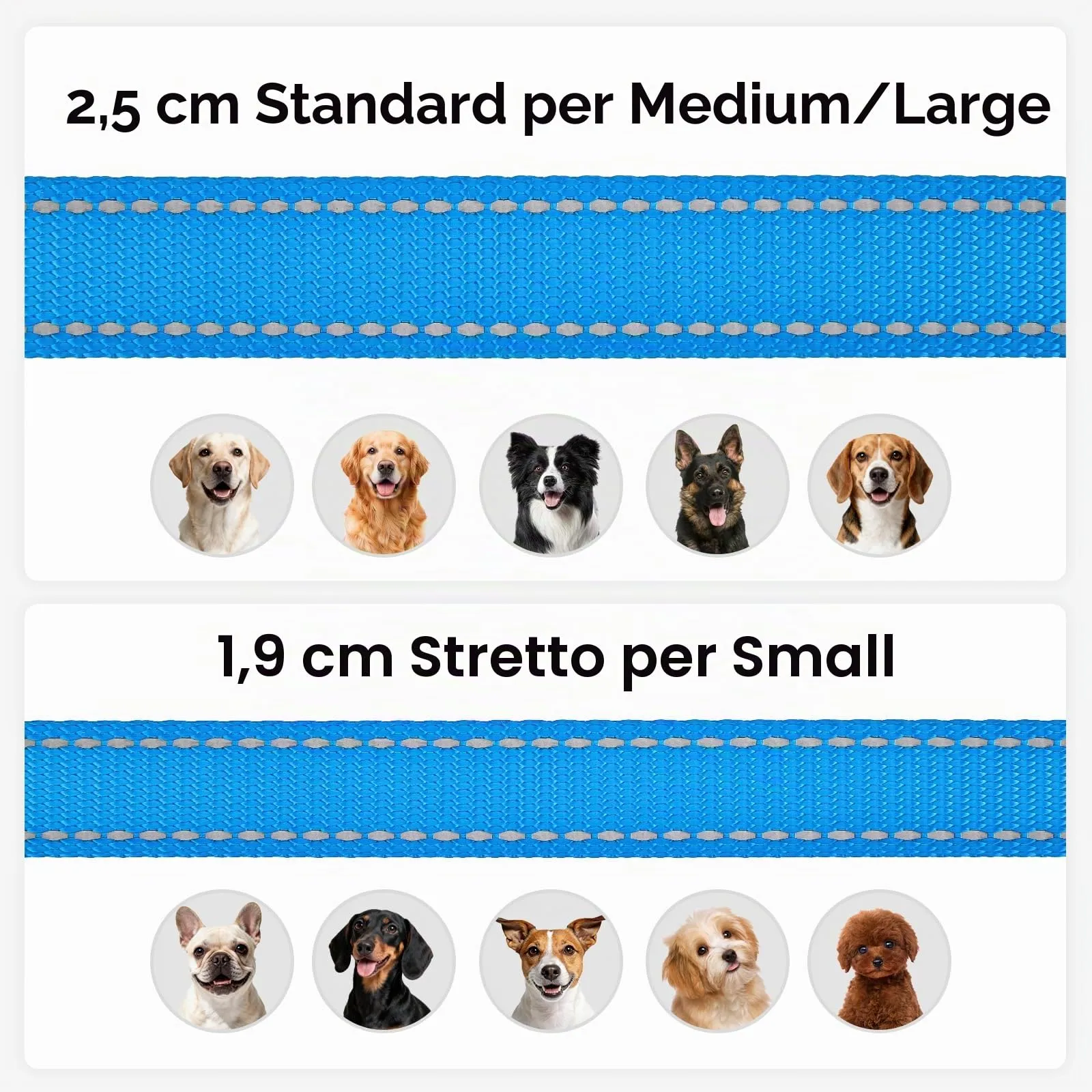 Joytale Guinzaglio per Cani Riflettente Imbottito, 1.2m x 2cm, Blu - immagine 6