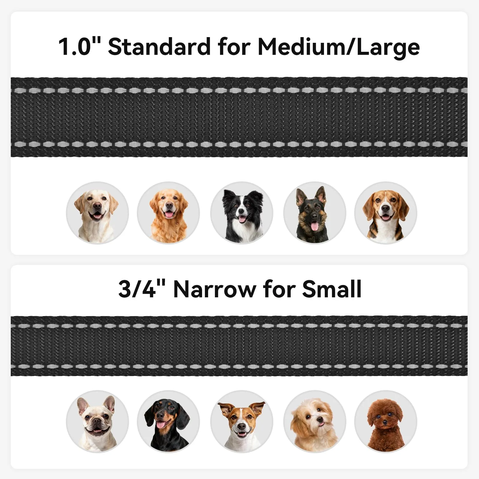 Joytale Guinzaglio per Cani Riflettente Imbottito, 1.2m x 2.5cm, Nero - immagine 6