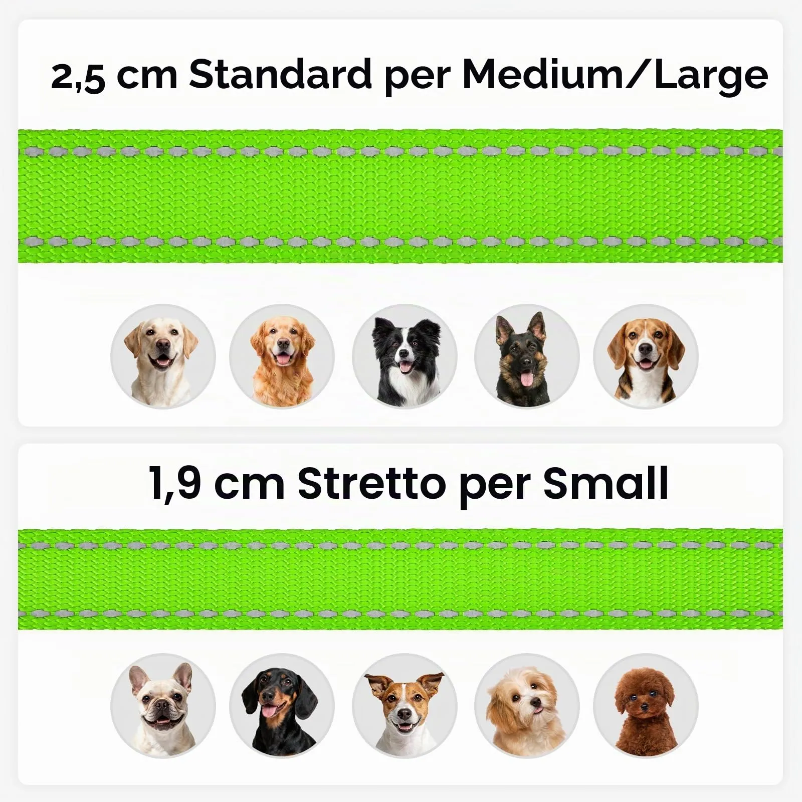 Joytale Guinzaglio per Cani Riflettente Imbottito, 1.2m x 2cm, Verde - immagine 6