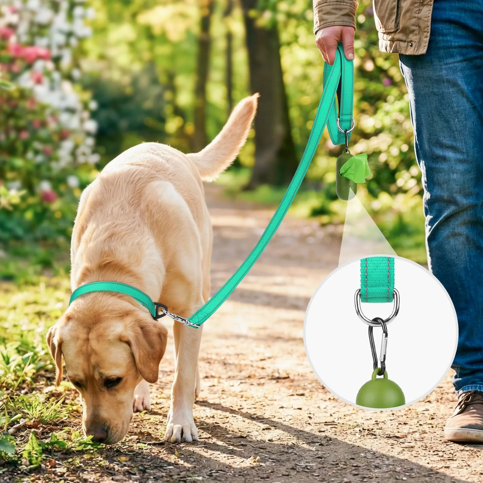Joytale Guinzaglio per Cani Riflettente Imbottito, 1.2m x 2.5cm, Turchese - immagine 2