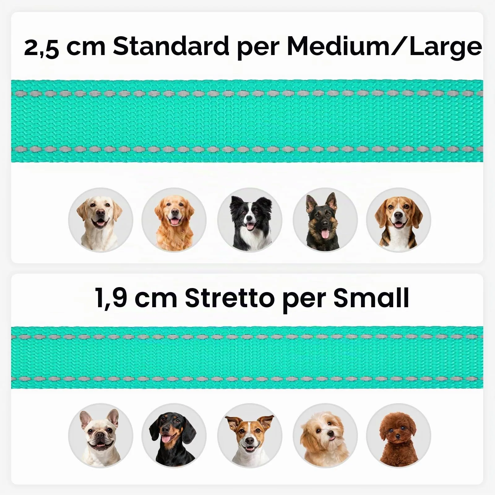Joytale Guinzaglio per Cani Riflettente Imbottito, 1.2m x 2cm, Turchese - immagine 6