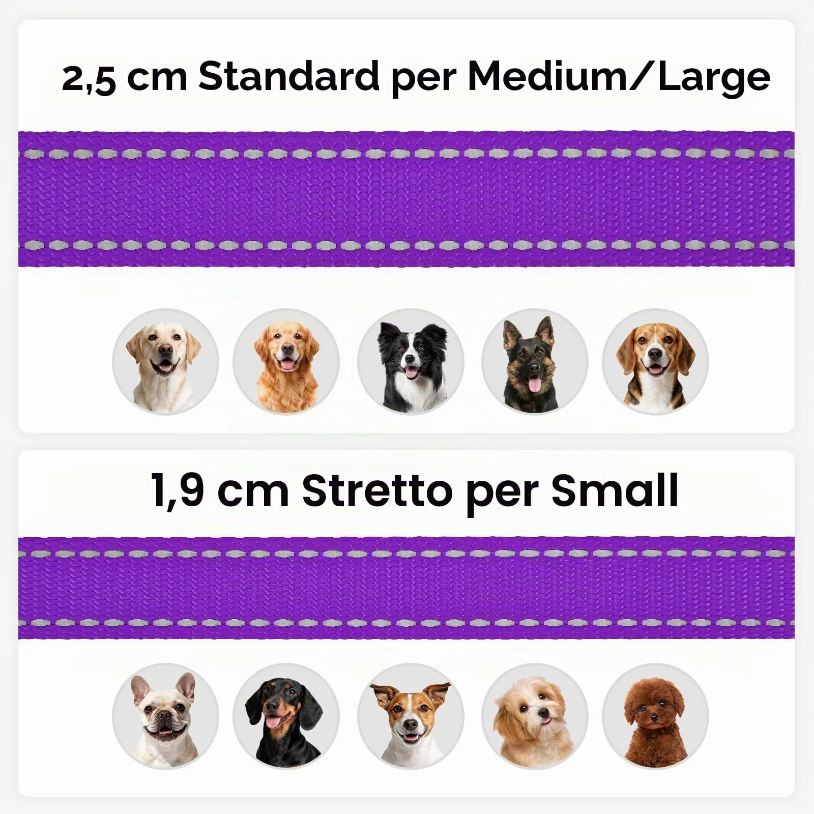 Joytale Guinzaglio per Cani Riflettente Imbottito, 1.5m x 2.5cm, Viola - immagine 6