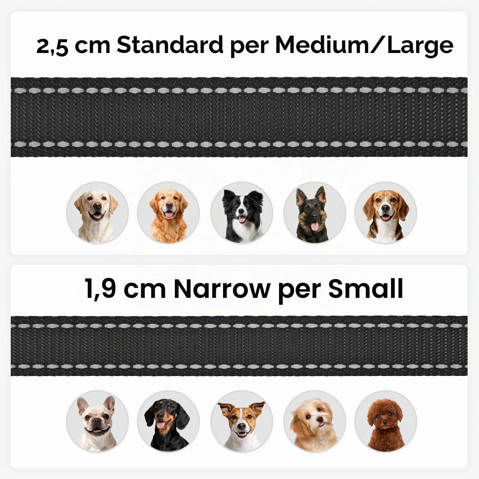 Joytale Guinzaglio per Cani Riflettente Imbottito, 1.5m x 2cm, Nero - immagine 6