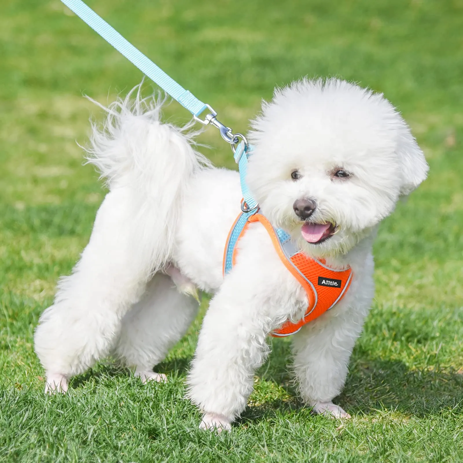 Aiitle Pettorina e Guinzaglio per Cani Anti-tiro e Anti-fuga, Riflettente, per Cani di Piccola e Media Taglia, Arancia M - immagine 7