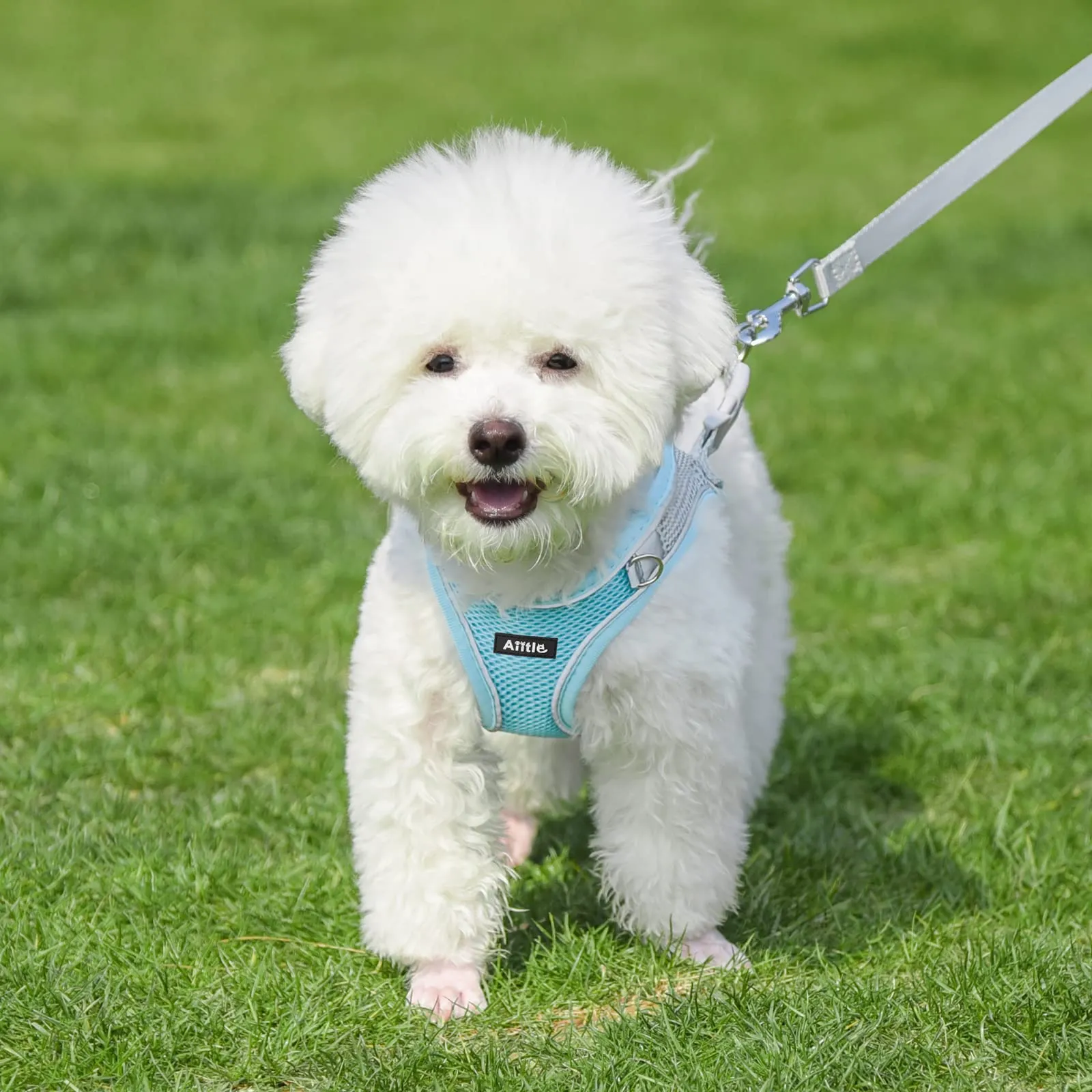 Aiitle Pettorina e Guinzaglio per Cani Anti-tiro e Anti-fuga con Fasce Riflettenti, Blu, M - immagine 7