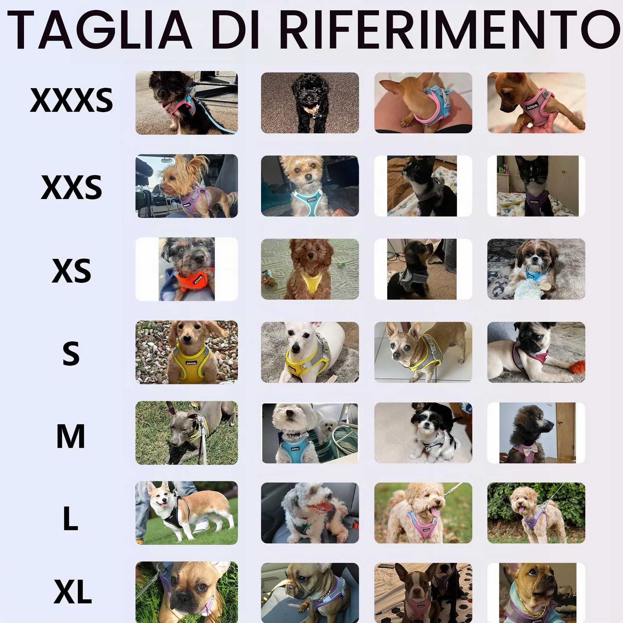 Aiitle Pettorina e Guinzaglio per Cani Anti-tiro e Anti-fuga Riflettente, Viola, M - immagine 2