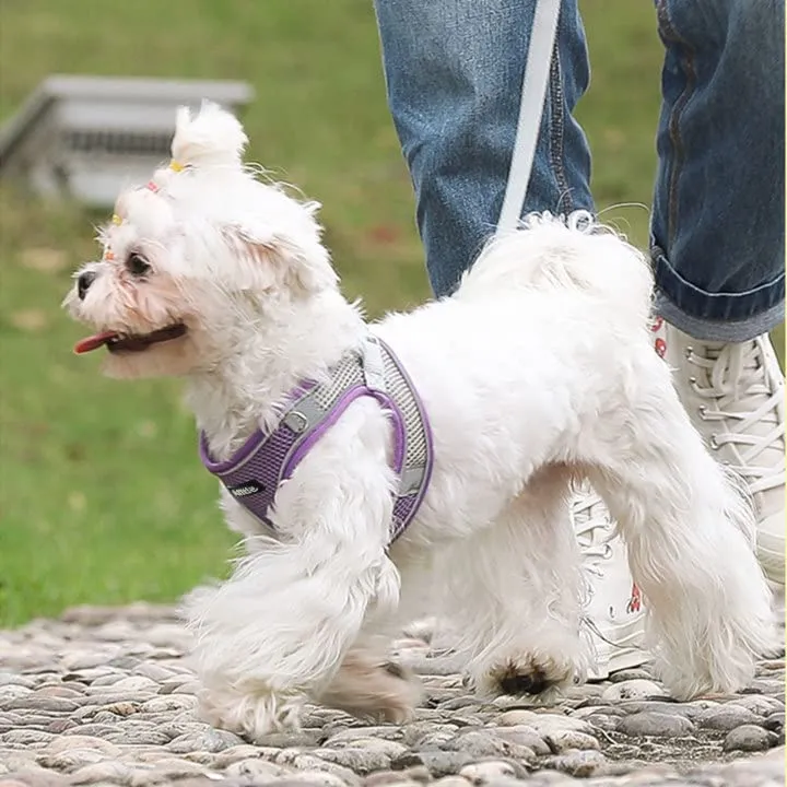 Aiitle Pettorina e Guinzaglio per Cani Anti-tiro e Anti-fuga Riflettente, Viola, M - immagine 6