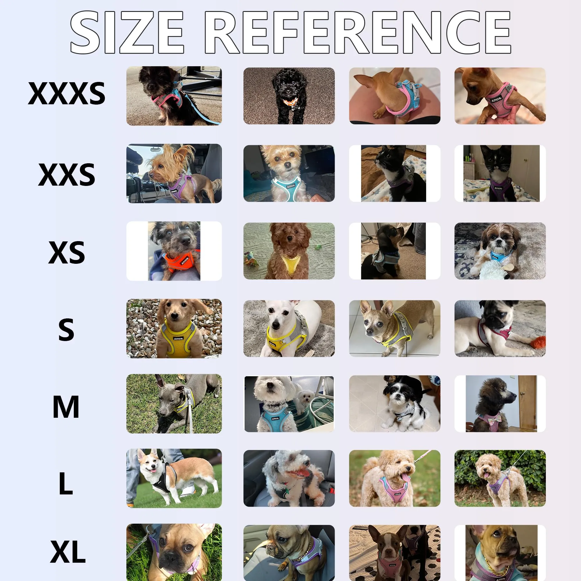 Aiitle Arnés ajustable para perro con chaleco acolchado, turquesa, S - immagine 2
