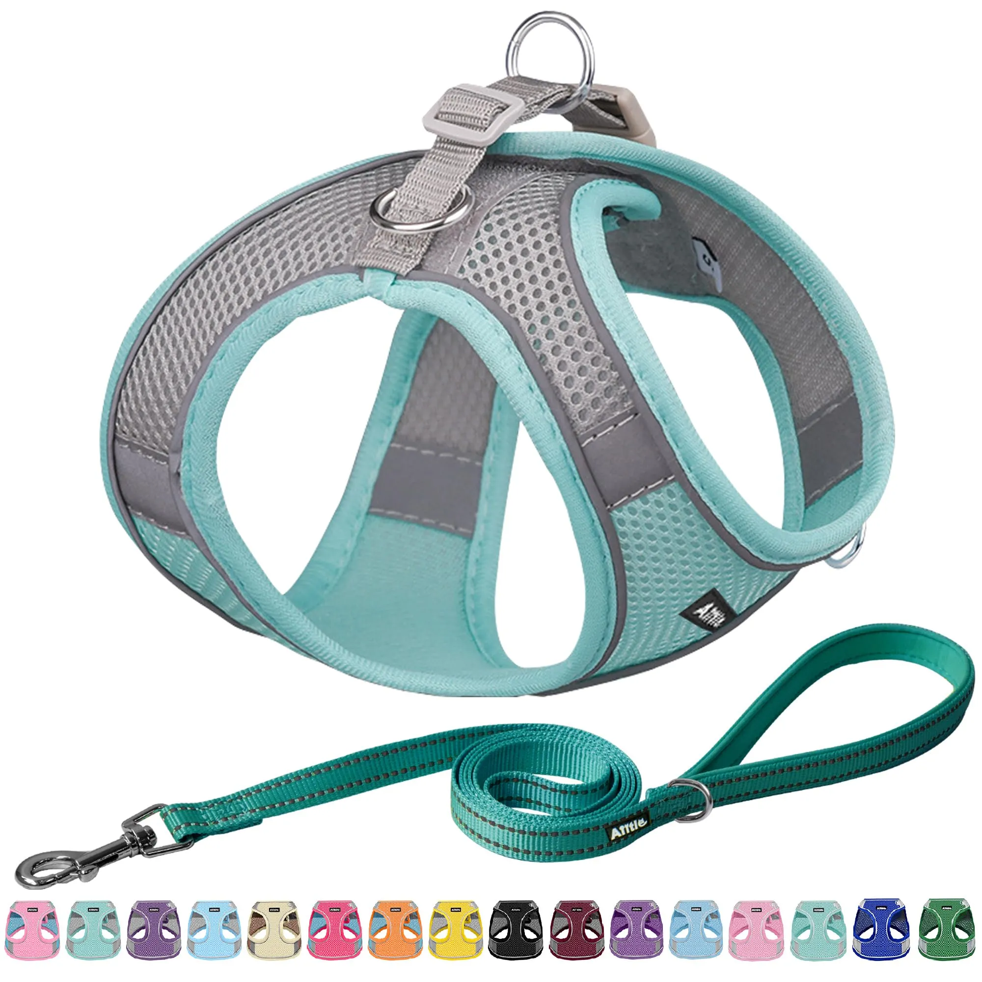 Aiitle Set Imbracatura a Gilet e Guinzaglio per Cani, Riflettente, Turchese, XS - immagine 1