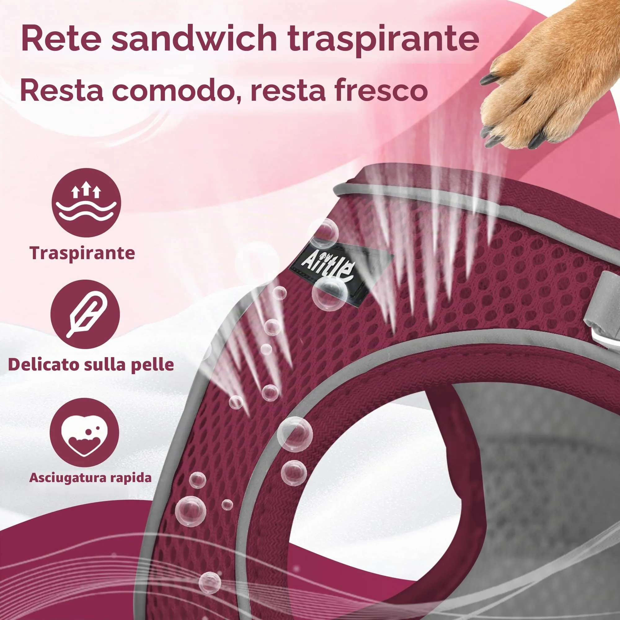 Aiitle Set Imbracatura a Gilet e Guinzaglio per Cani, Riflettente, Borgogna, XS - immagine 8