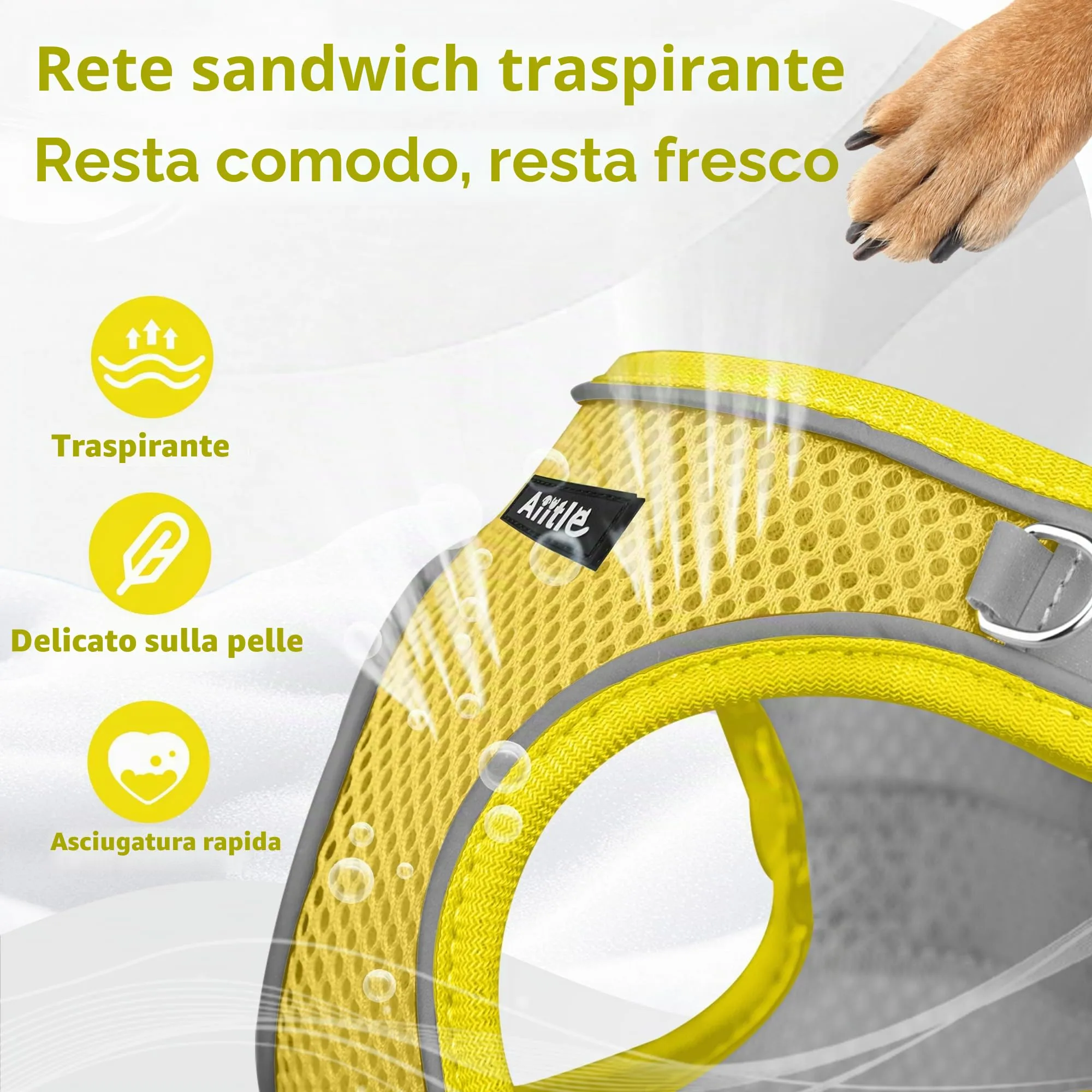 Aiitle Pettorina Estiva per Cani e Gatti con Guinzaglio, Gilet Riflettente Regolabile e Anti-fuga, Giallo, Taglia XXXS - immagine 6