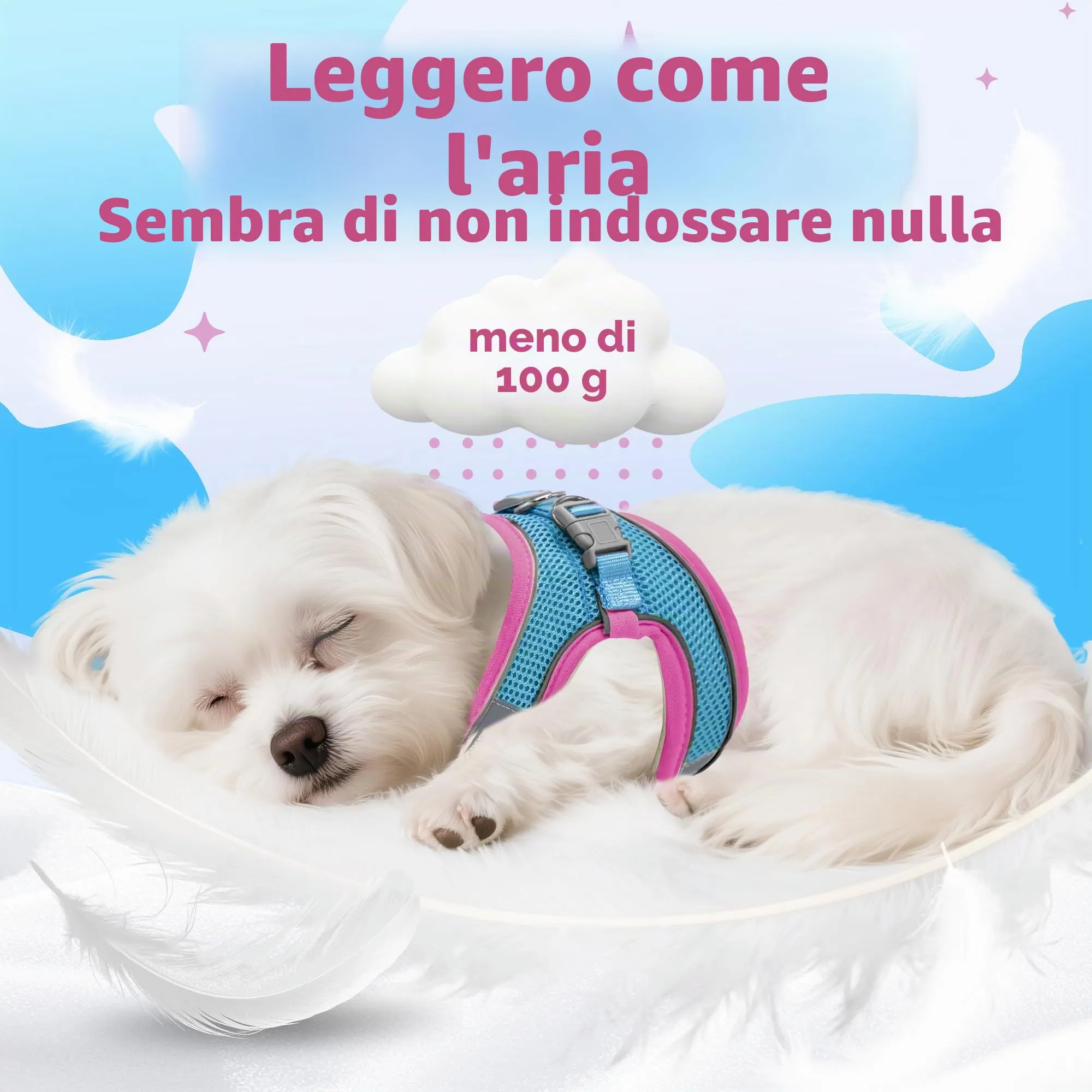 Aiitle Pettorina Estiva per Cani e Gatti con Guinzaglio, Gilet Riflettente Regolabile e a Prova di Fuga, Rosa Caldo, XXXS - immagine 5