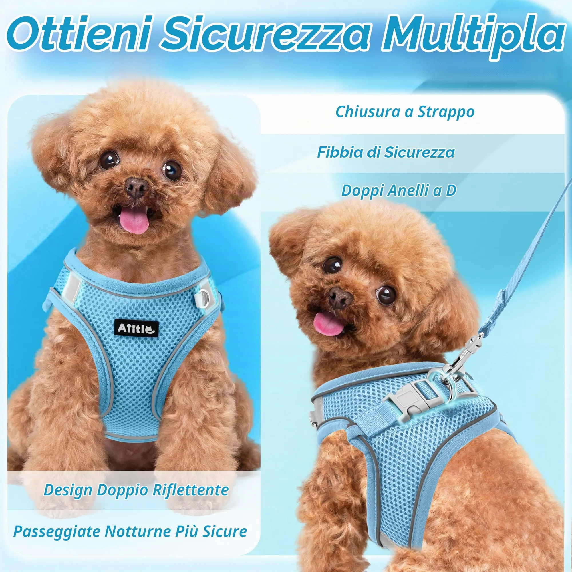 Aiitle Pettorina Anti-Tiro Regolabile con Guinzaglio, Blu Puro, S - immagine 6