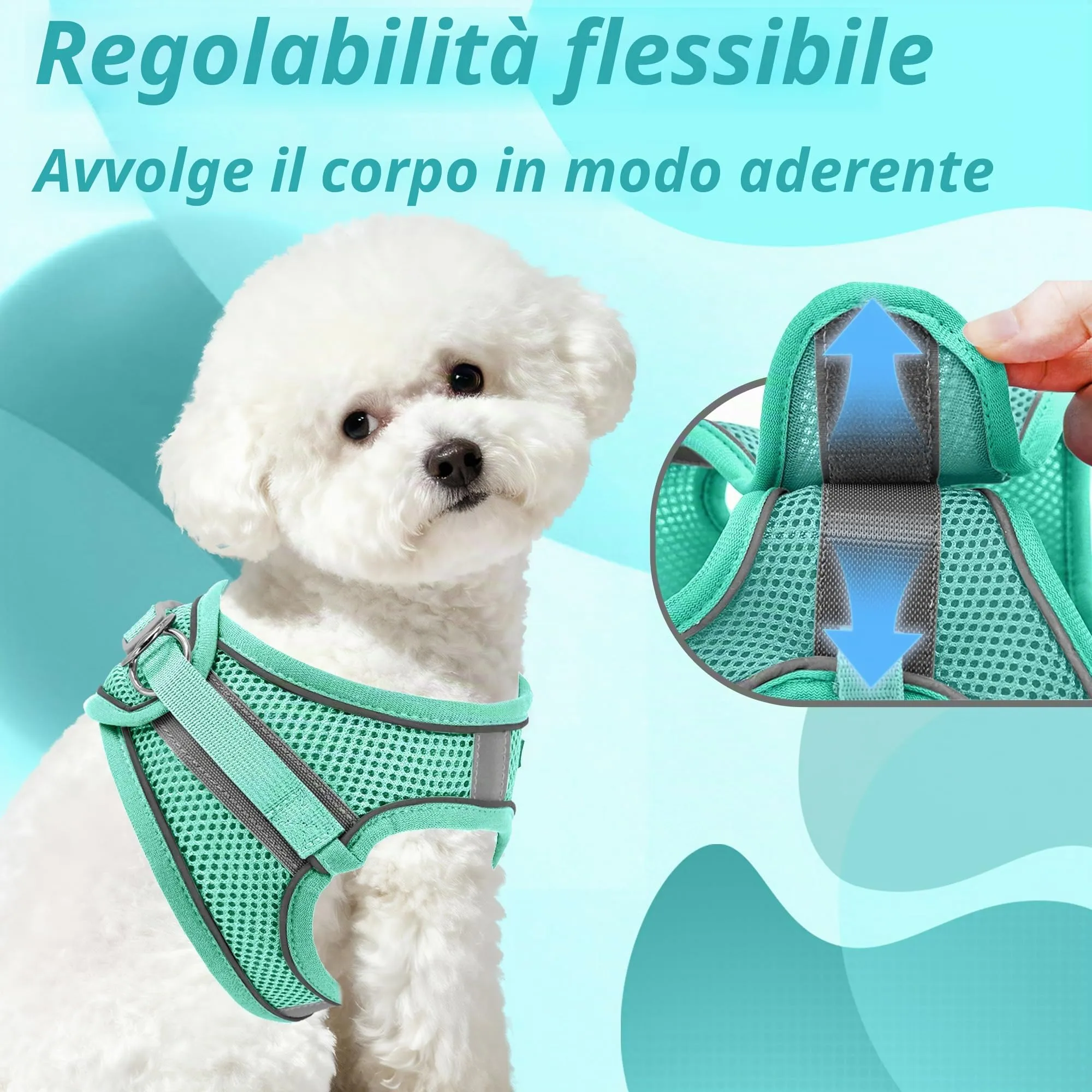 Aiitle Set Imbracatura e Guinzaglio Easy Walk per Cani, Regolabile e Anti-Trazione, Turchese puro, L - immagine 3