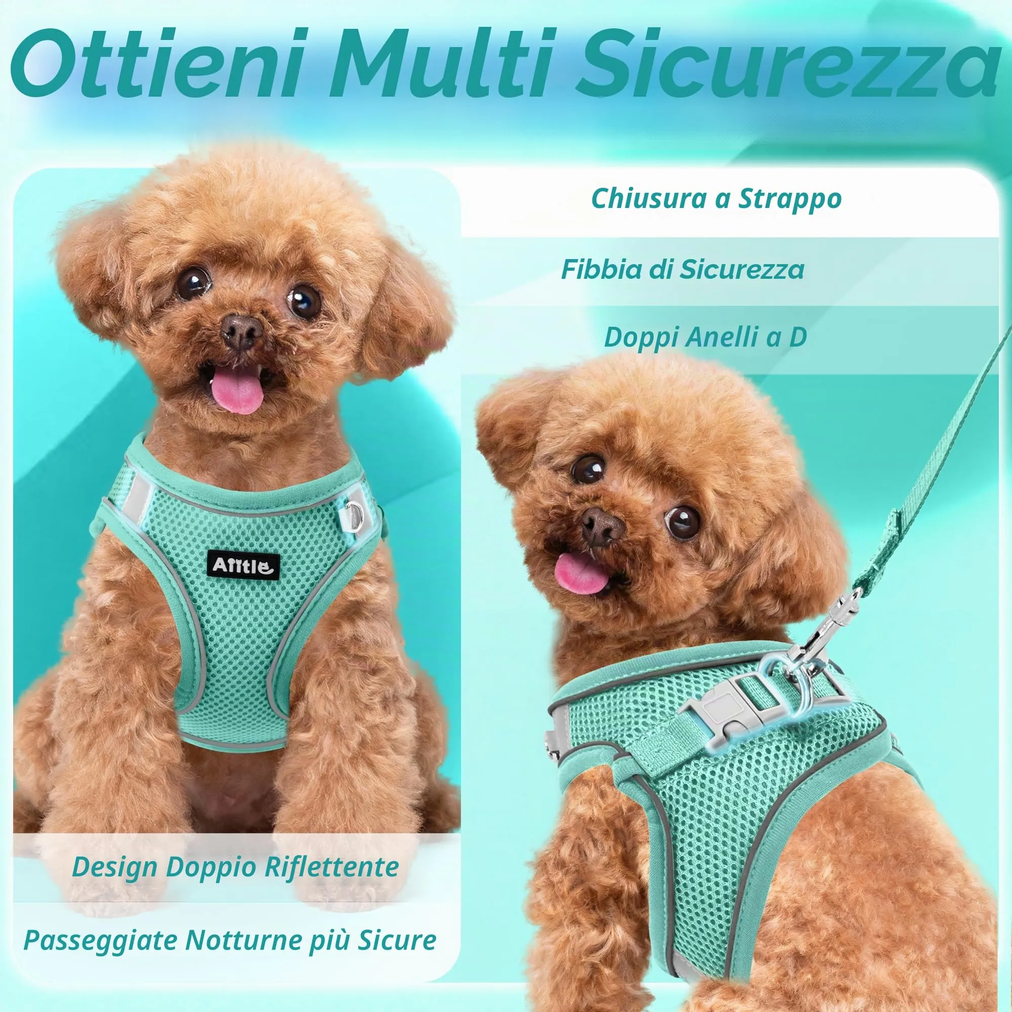 Aiitle Set Imbracatura e Guinzaglio Easy Walk per Cani, Regolabile e Anti-Trazione, Turchese puro, L - immagine 7