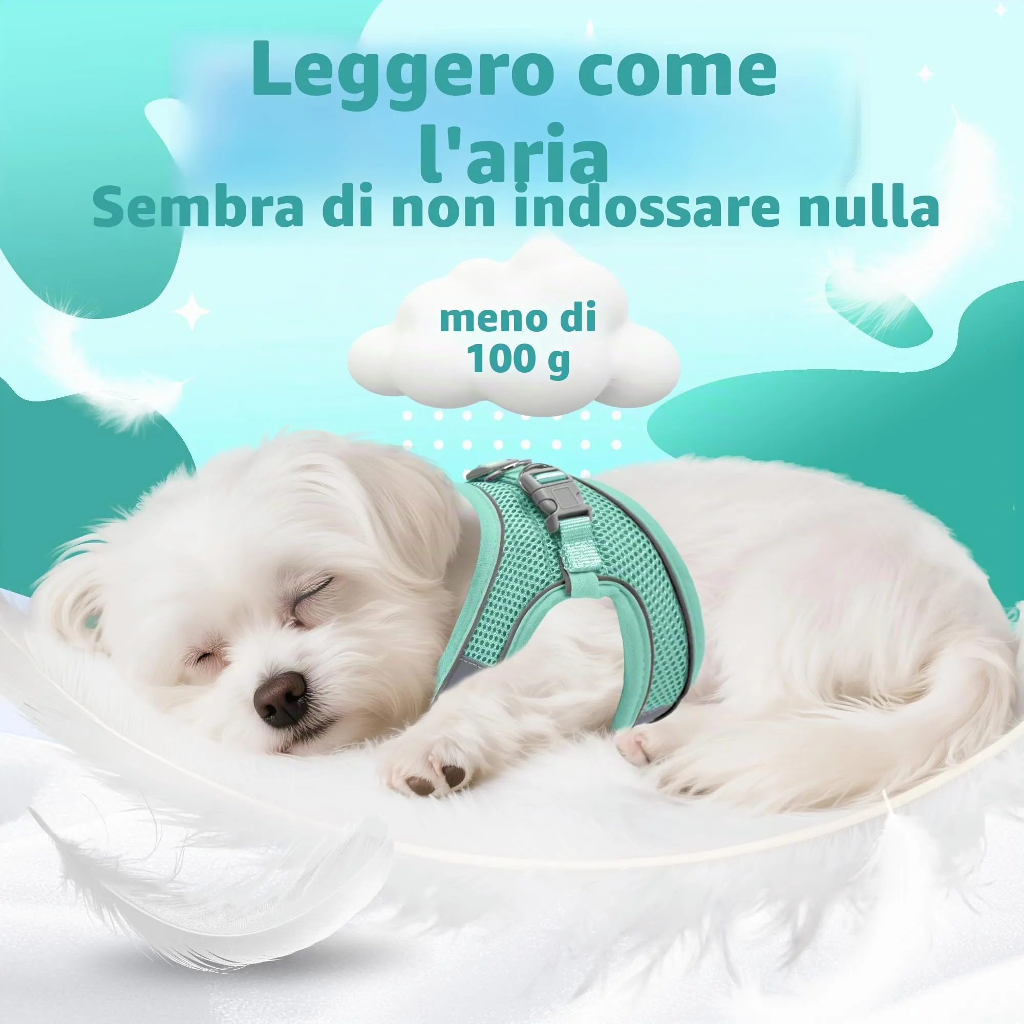 Aiitle Set Imbracatura e Guinzaglio Easy Walk per Cani, Regolabile e Anti-Trazione, Turchese puro, L - immagine 9