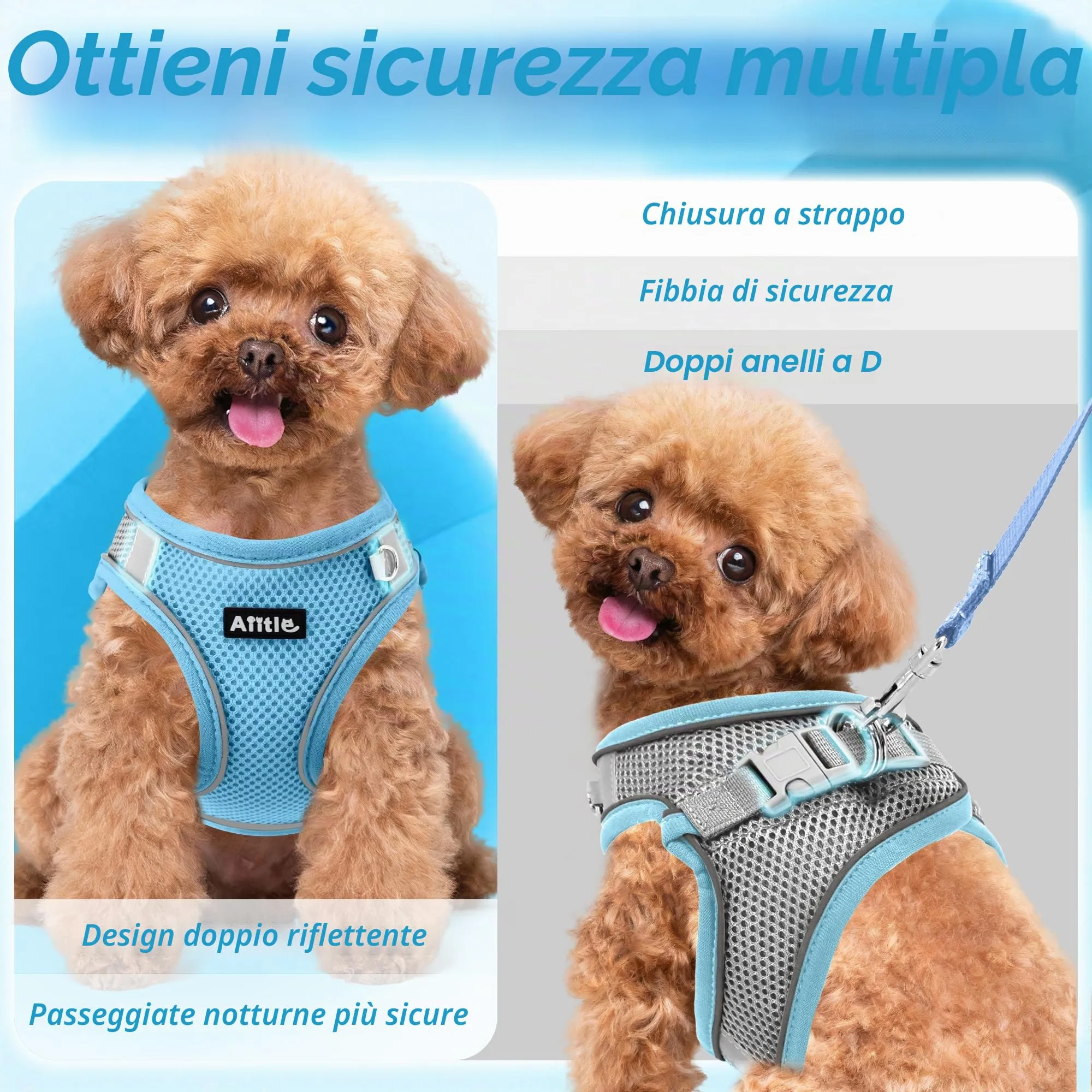 Aiitle Easy Walk Set Imbracatura e Guinzaglio per Cani, Blu puro, L - immagine 3