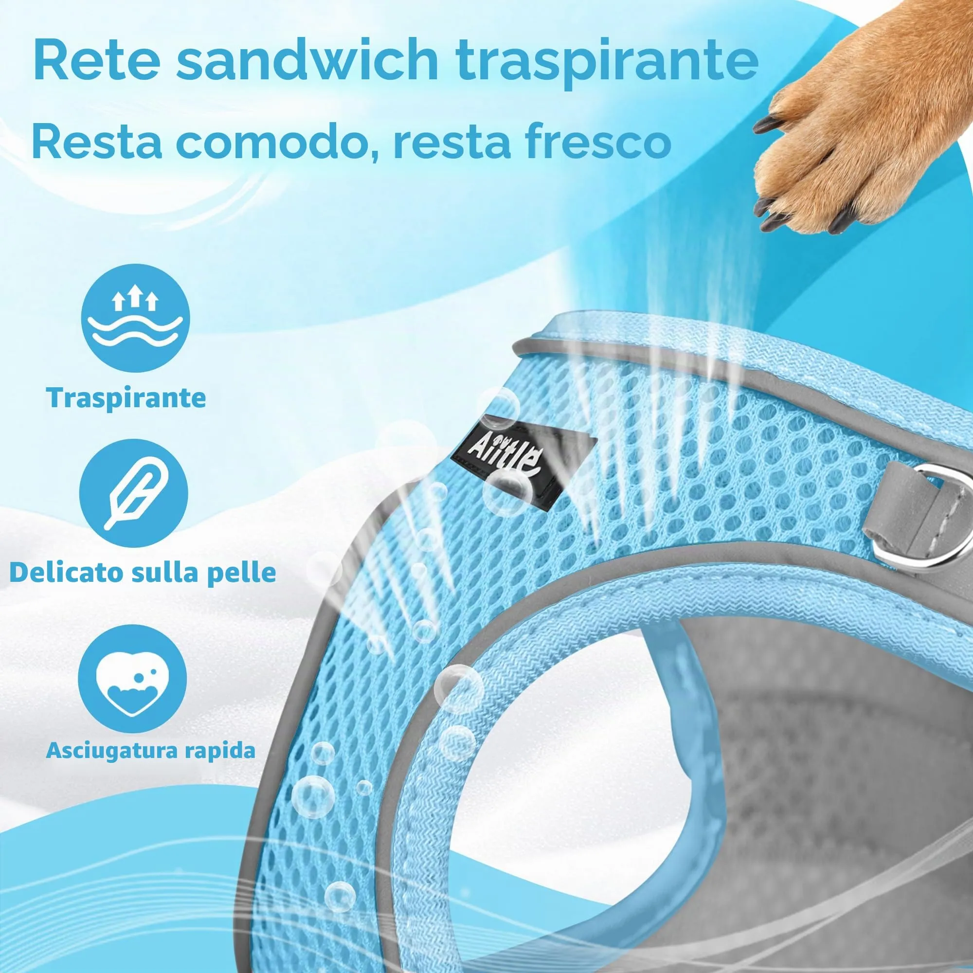 Aiitle Easy Walk Set Imbracatura e Guinzaglio per Cani, Blu puro, L - immagine 6